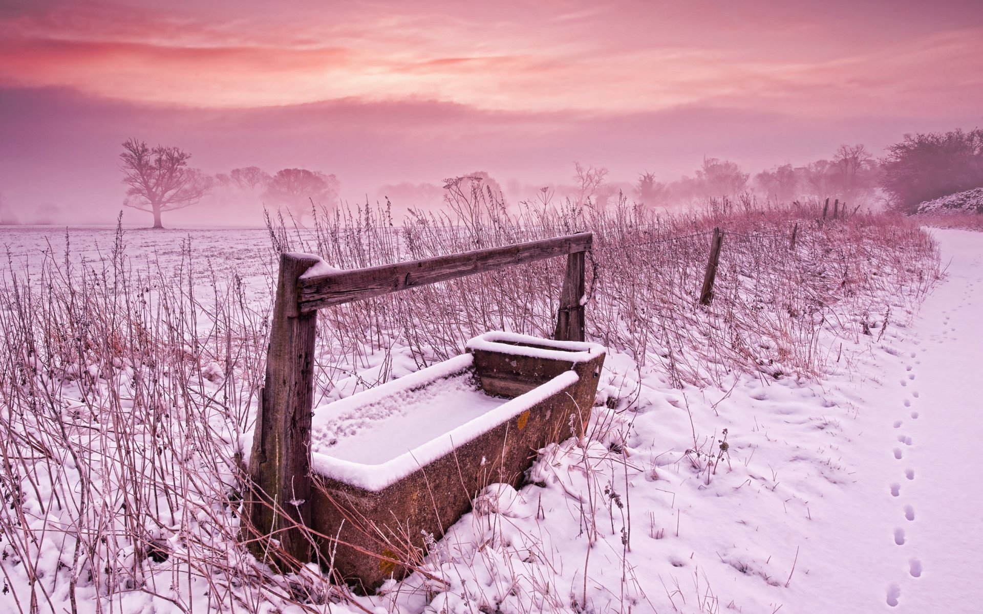 winter feld gras schnee himmel farben