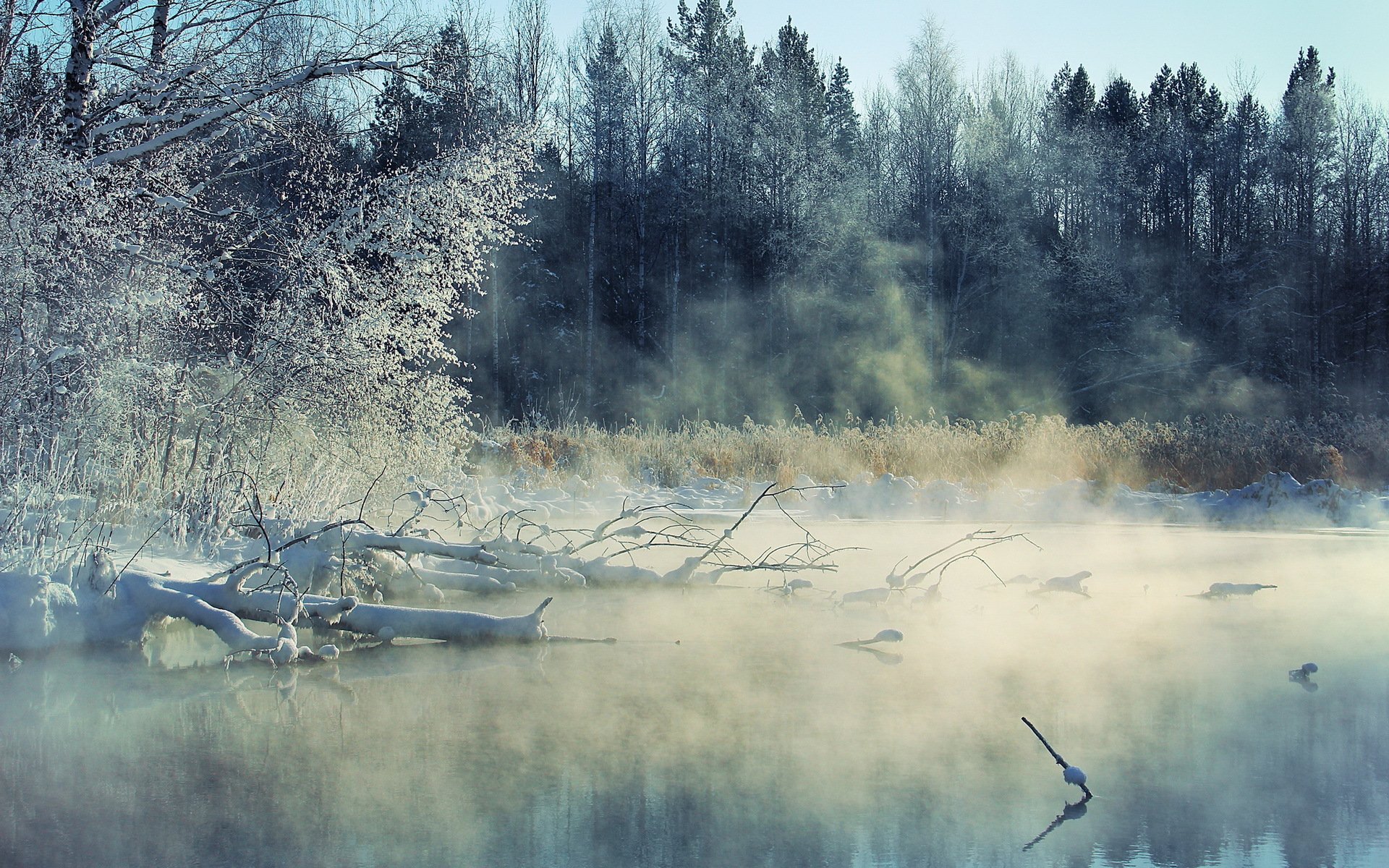 winter fluss nebel landschaft