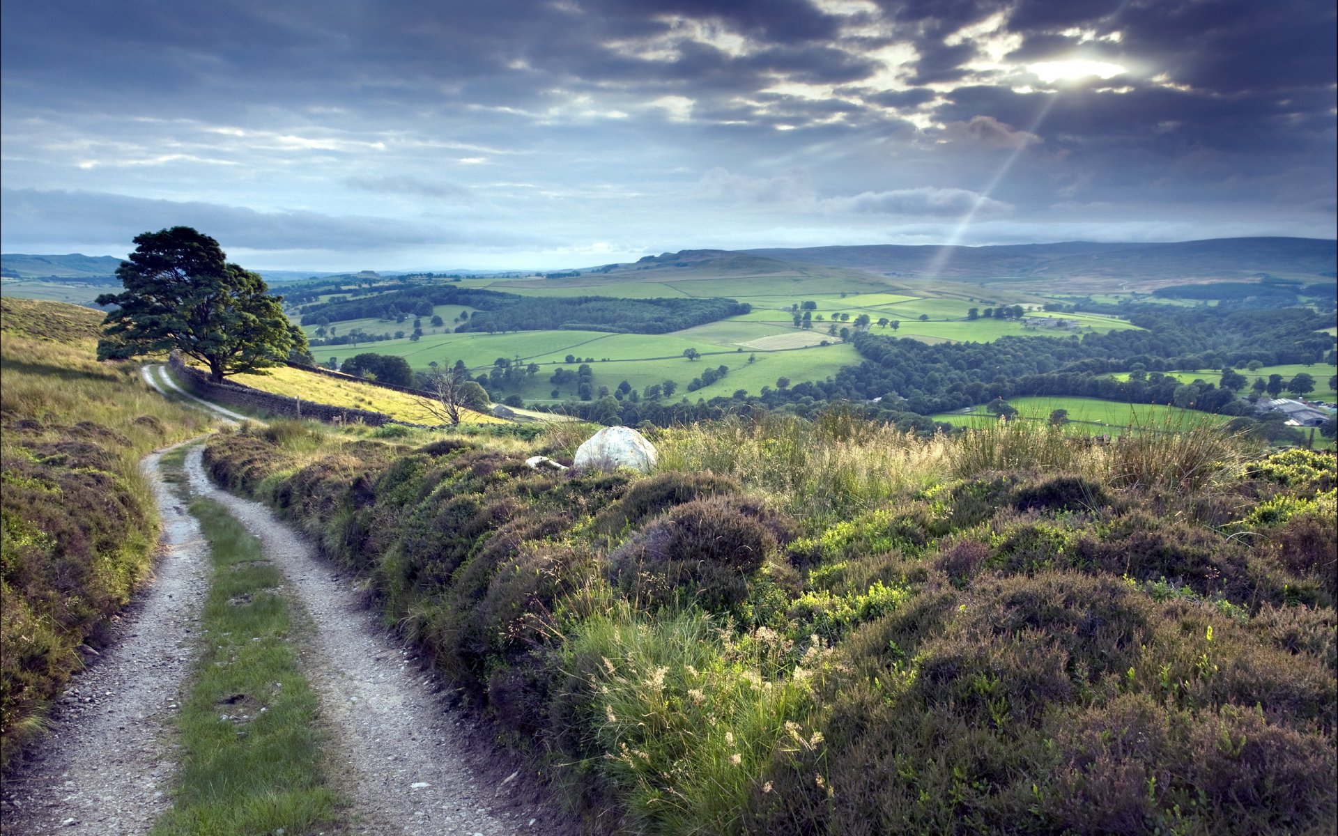 route champ nature paysage