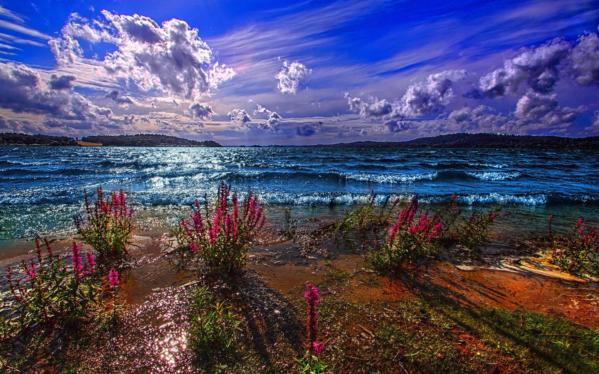 lago eccitazione montagne distanza orizzonte cielo nuvole riva fiori