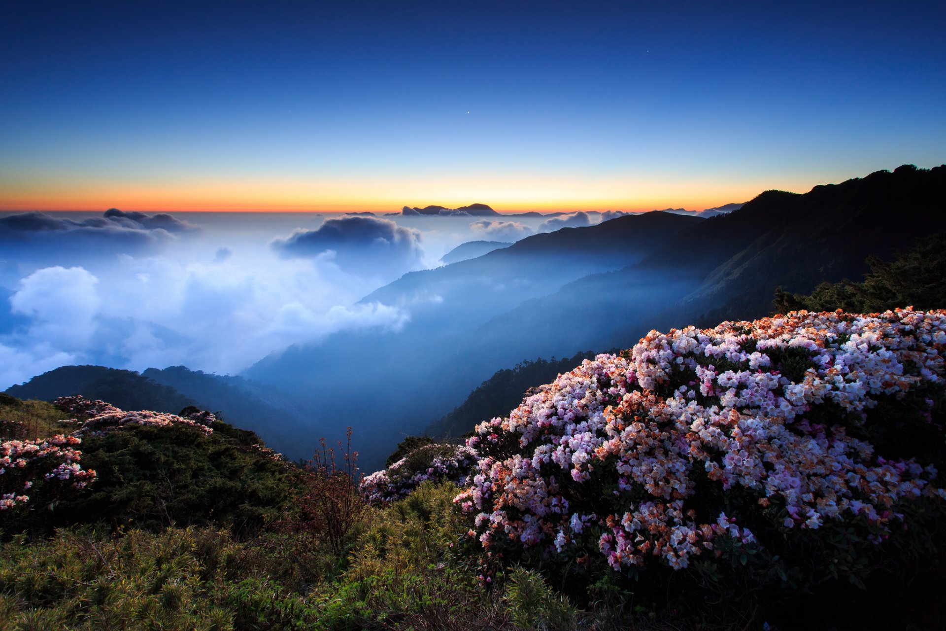 himmel nacht abend sonnenuntergang morgen nebel wolken berge hügel blumen