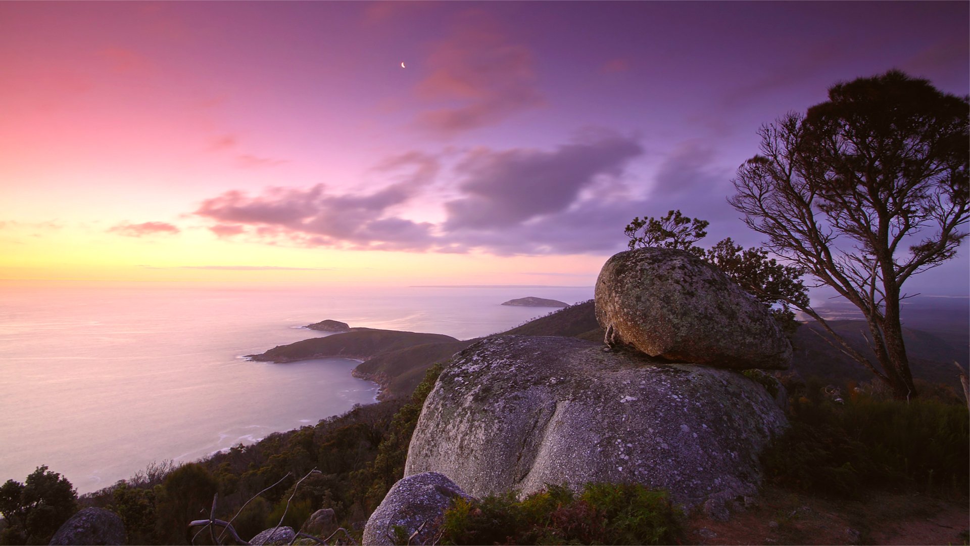 mer calme calme côte lilas soir rose coucher de soleil ciel nuages colline pierres arbre