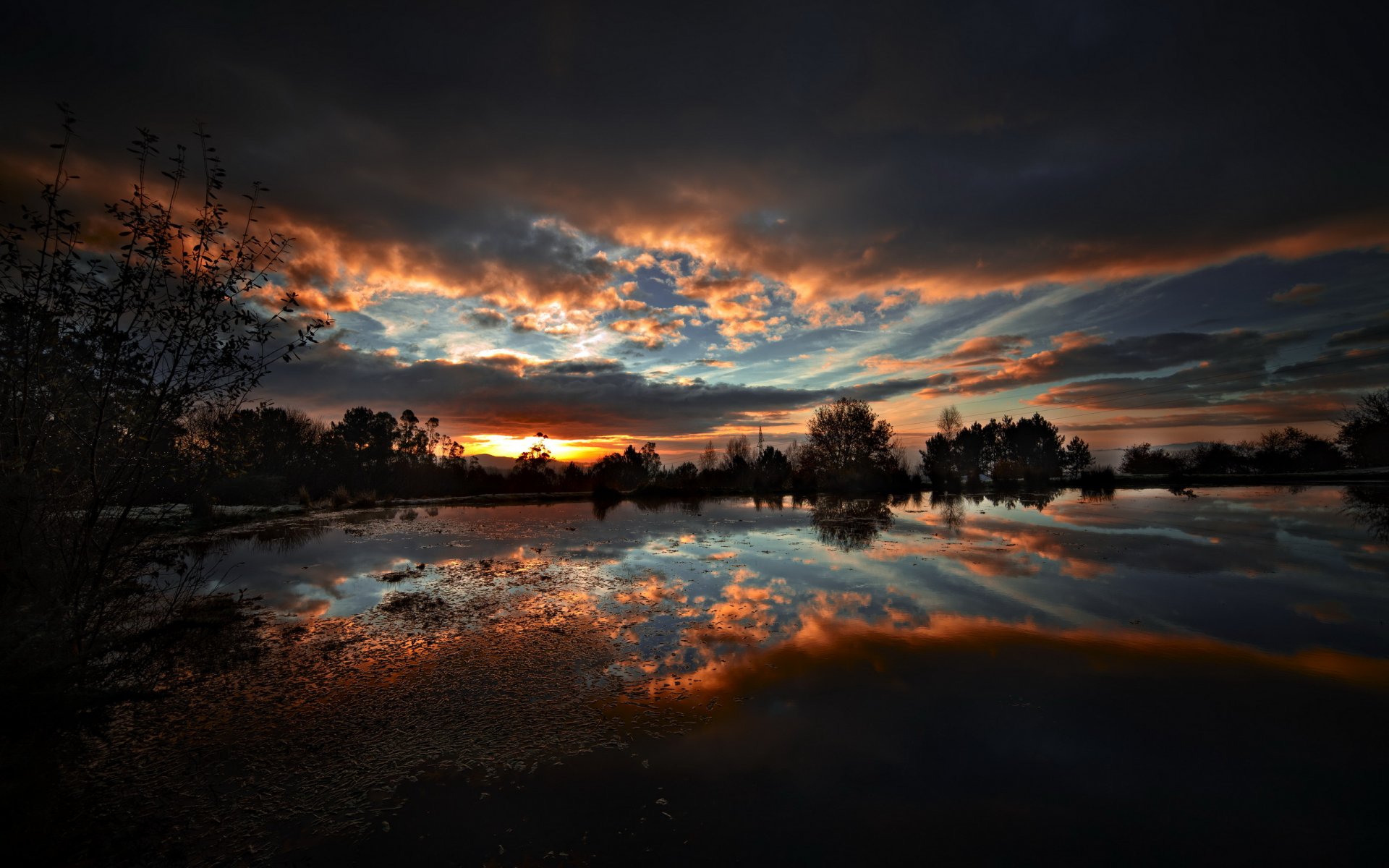 night lake nature landscape