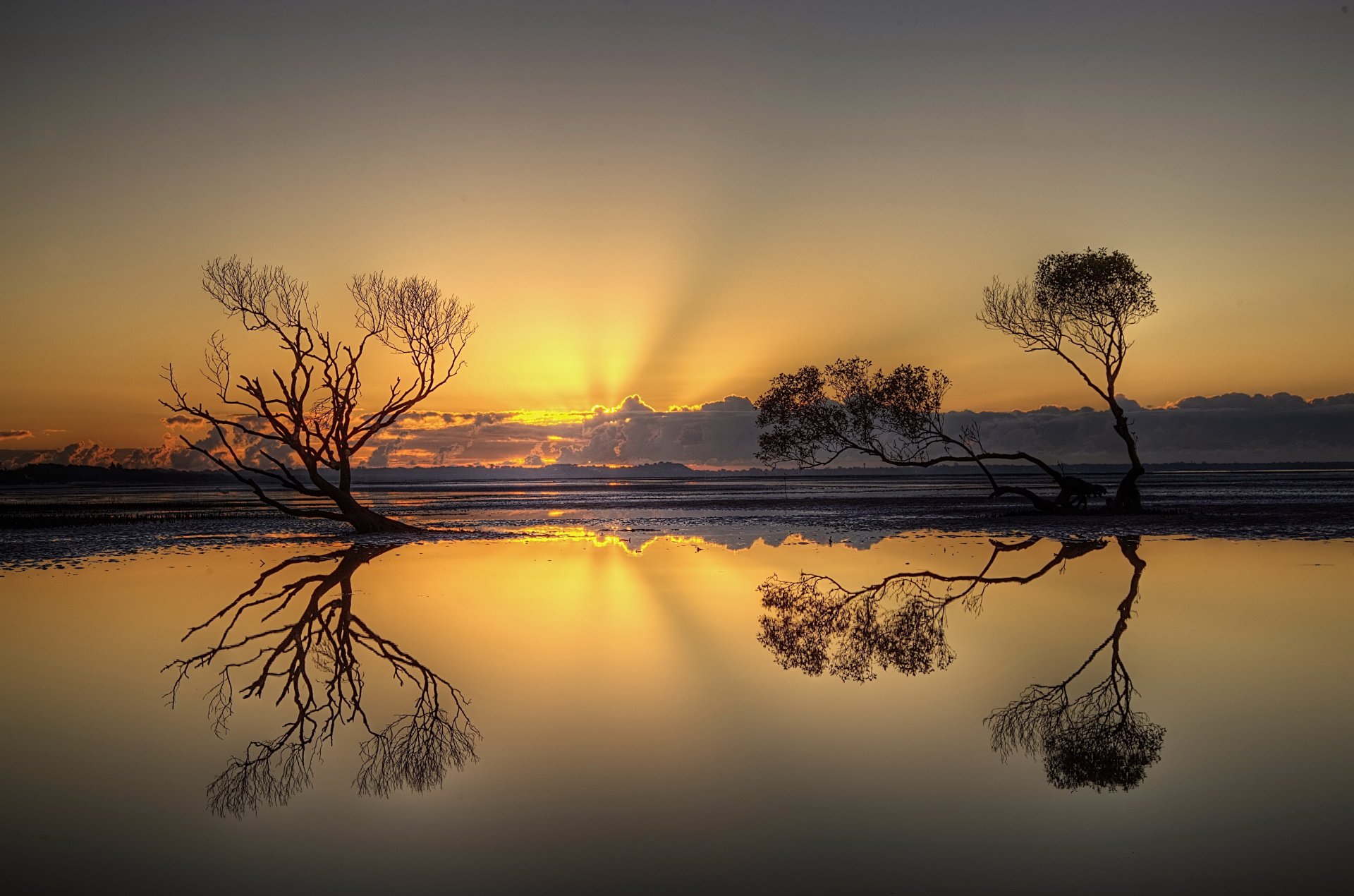 coucher de soleil ciel arbres paysage