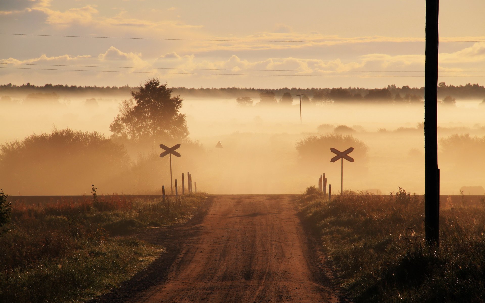 strada attraversamento nebbia campo