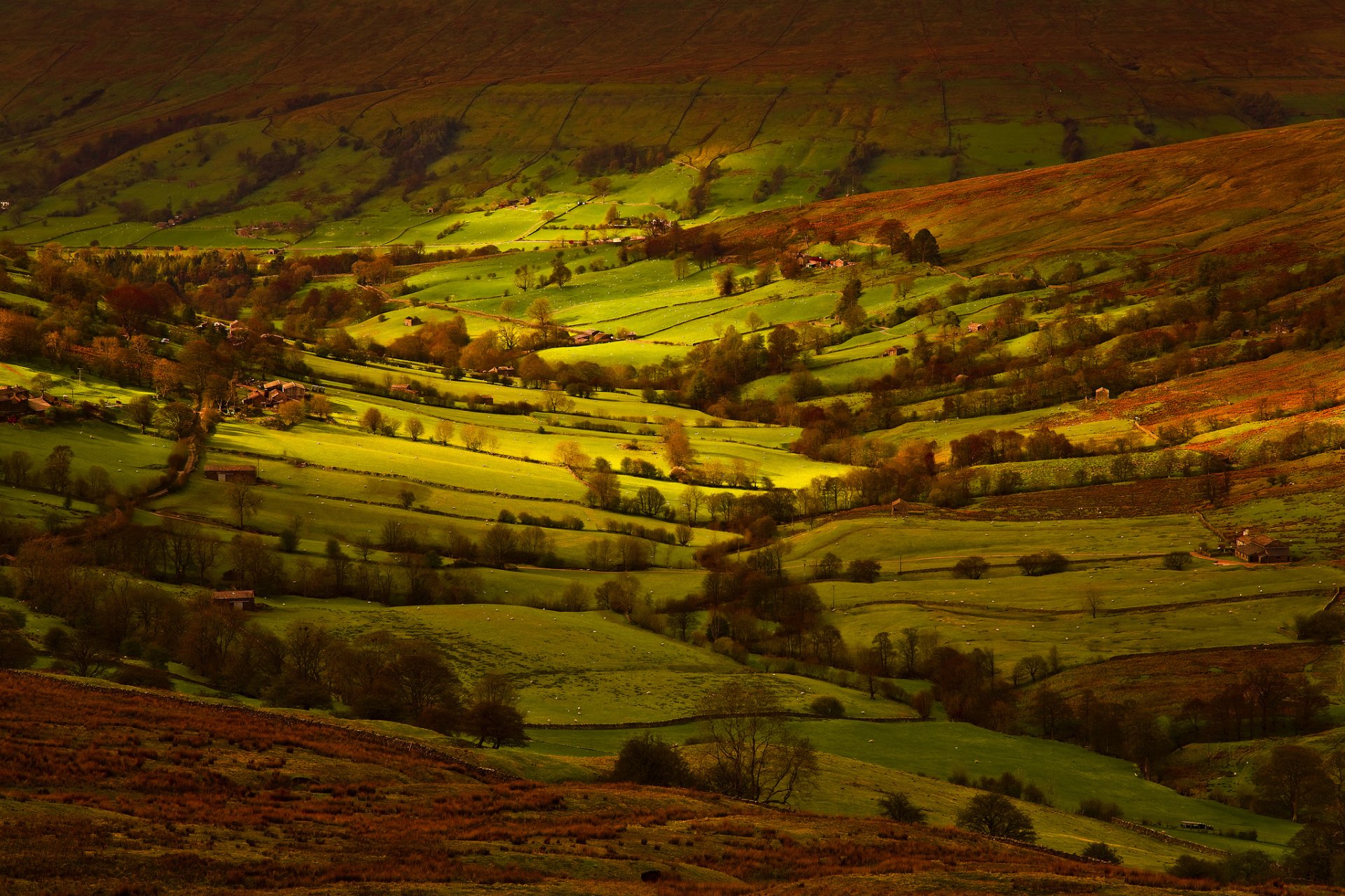 anglia yorkshire pola światło