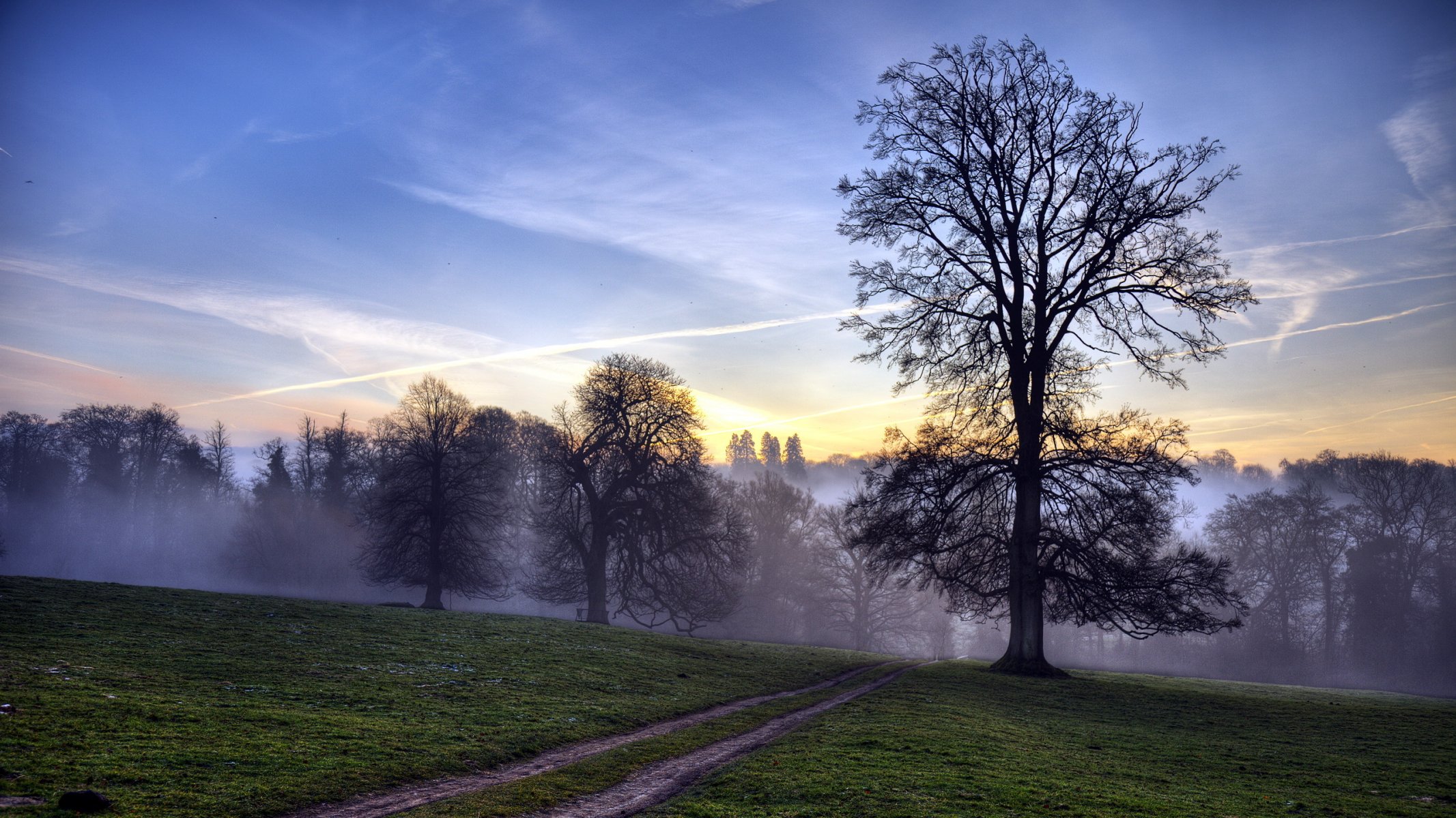 route champ arbre coucher de soleil paysage