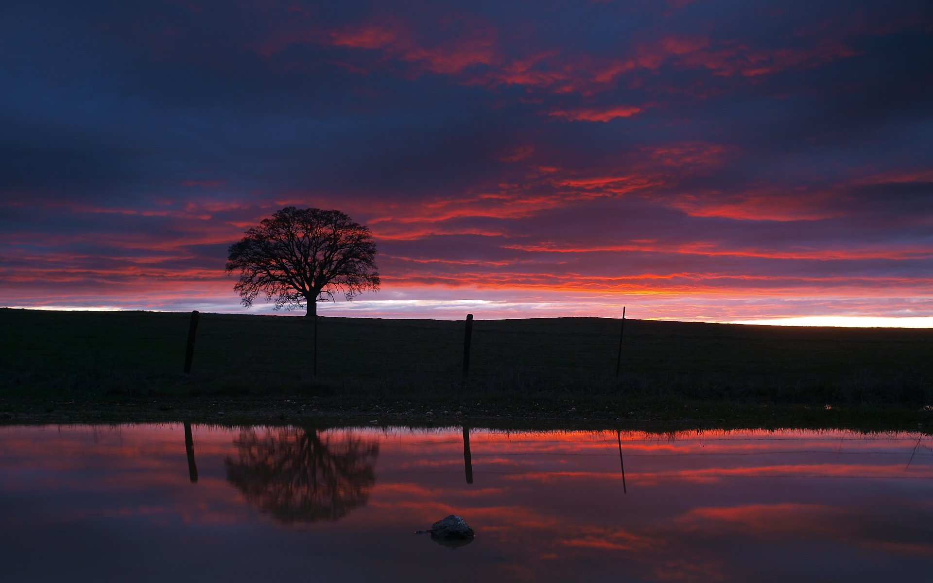 noche cielo lago agua puesta de sol árbol