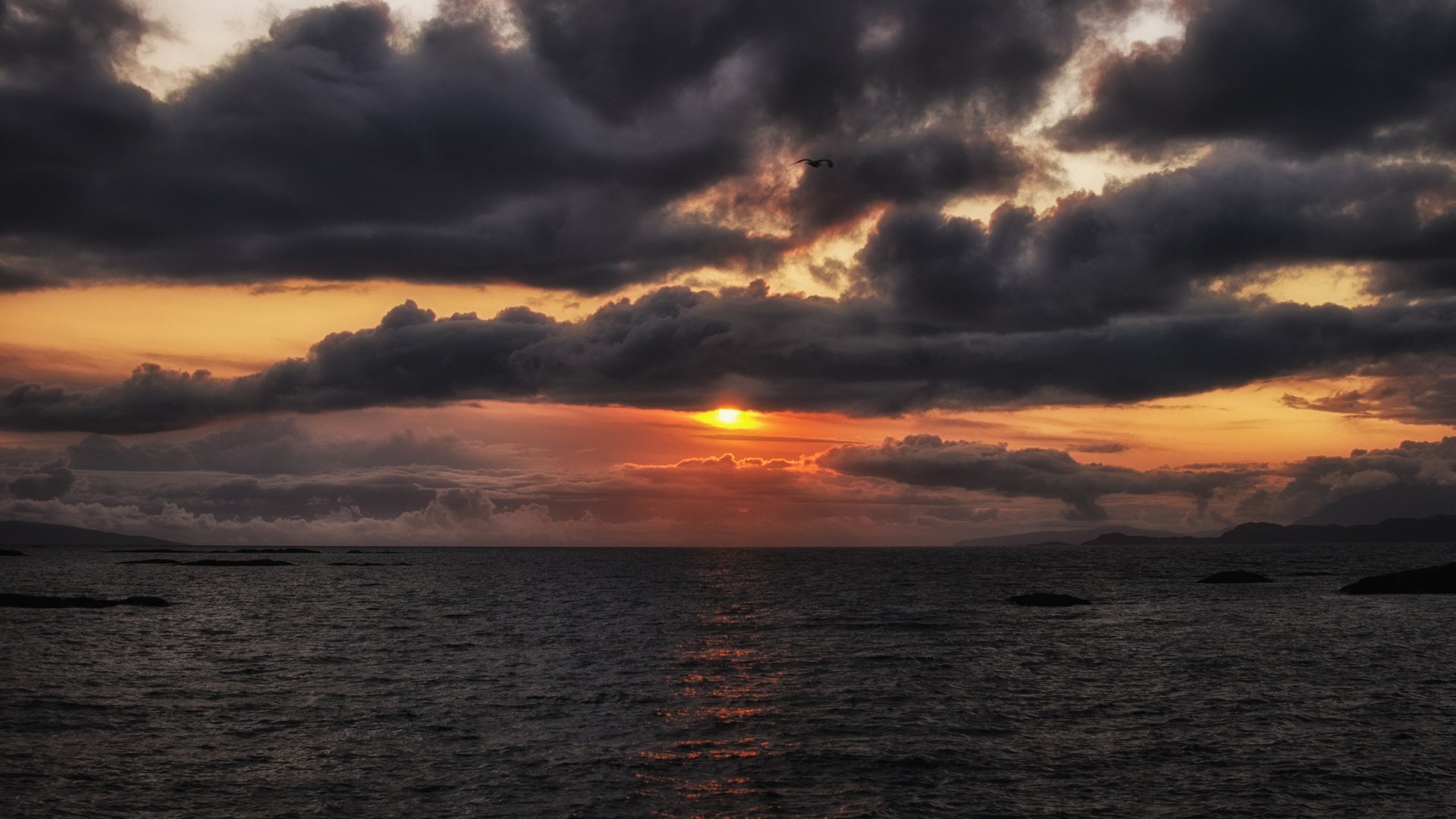 sera cielo nuvole sole arancione tramonto uccello volo mare oceano baia