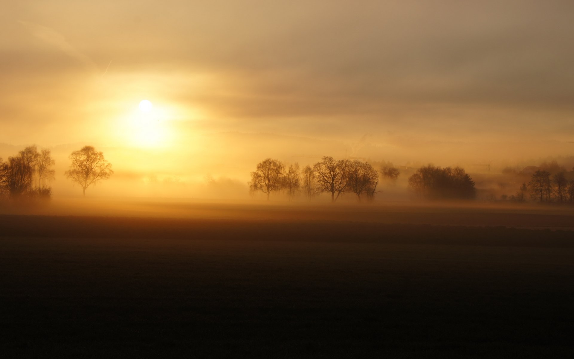 campo nebbia tramonto paesaggio