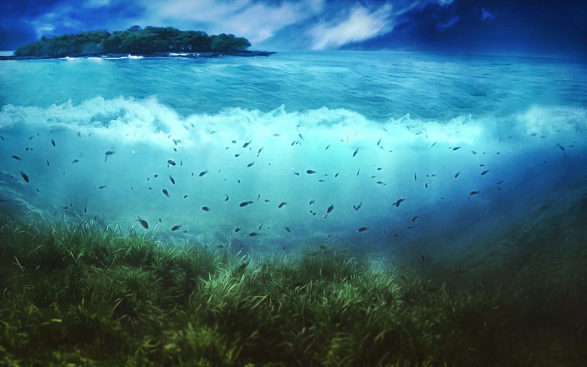 acqua isola vegetazione pesci cielo nuvole