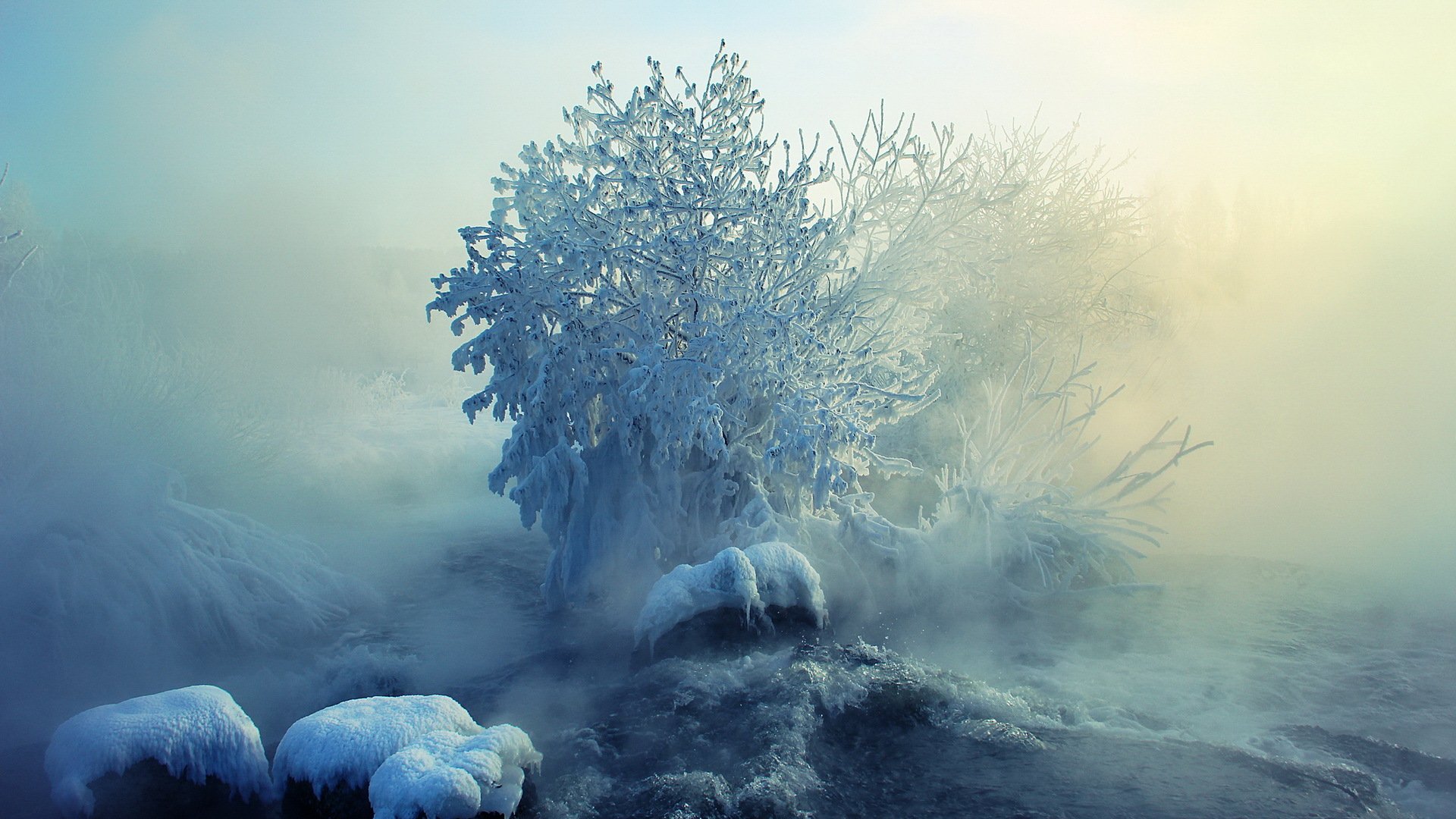 hiver brouillard neige paysage nature