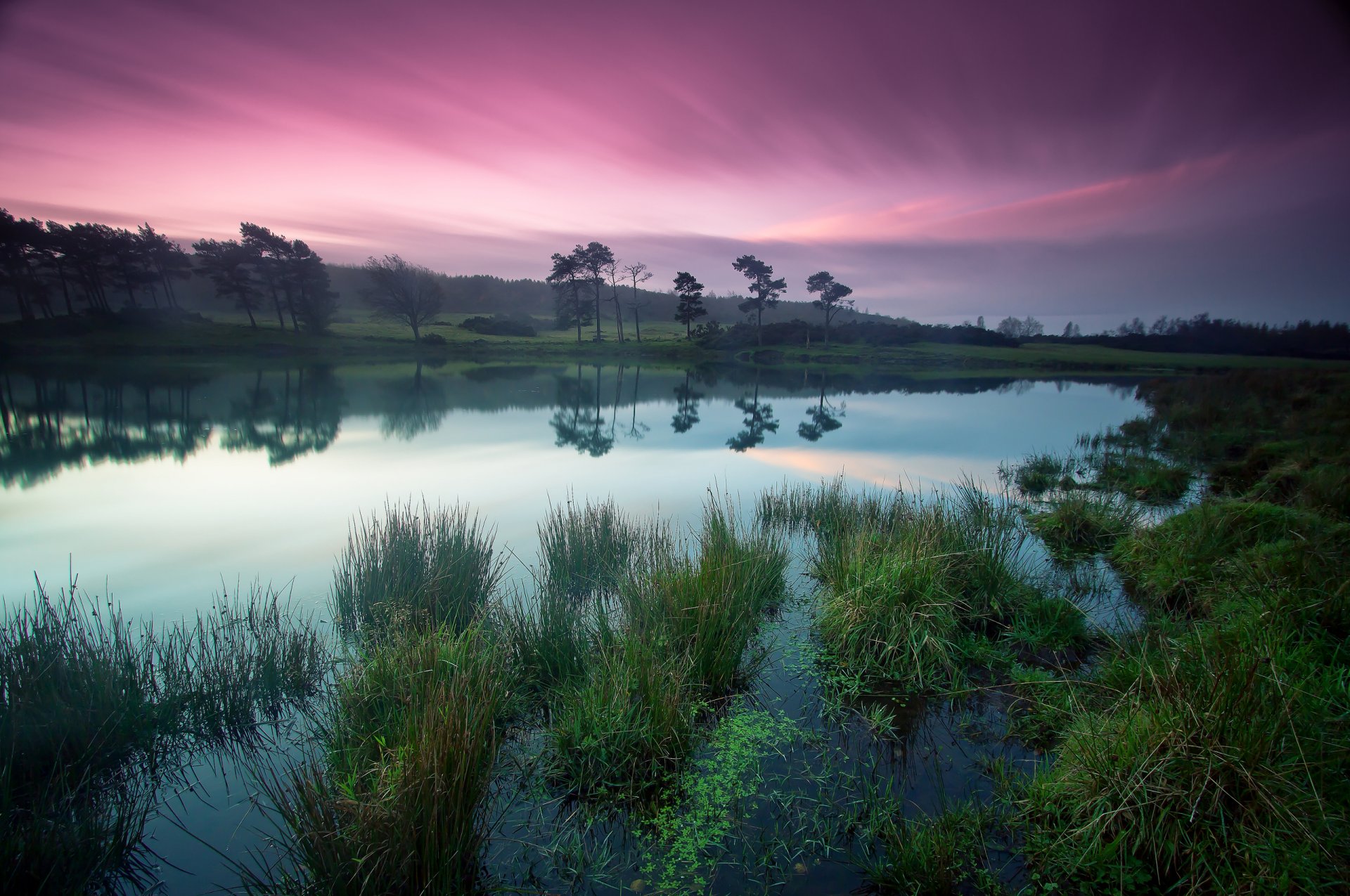 lago árboles costa