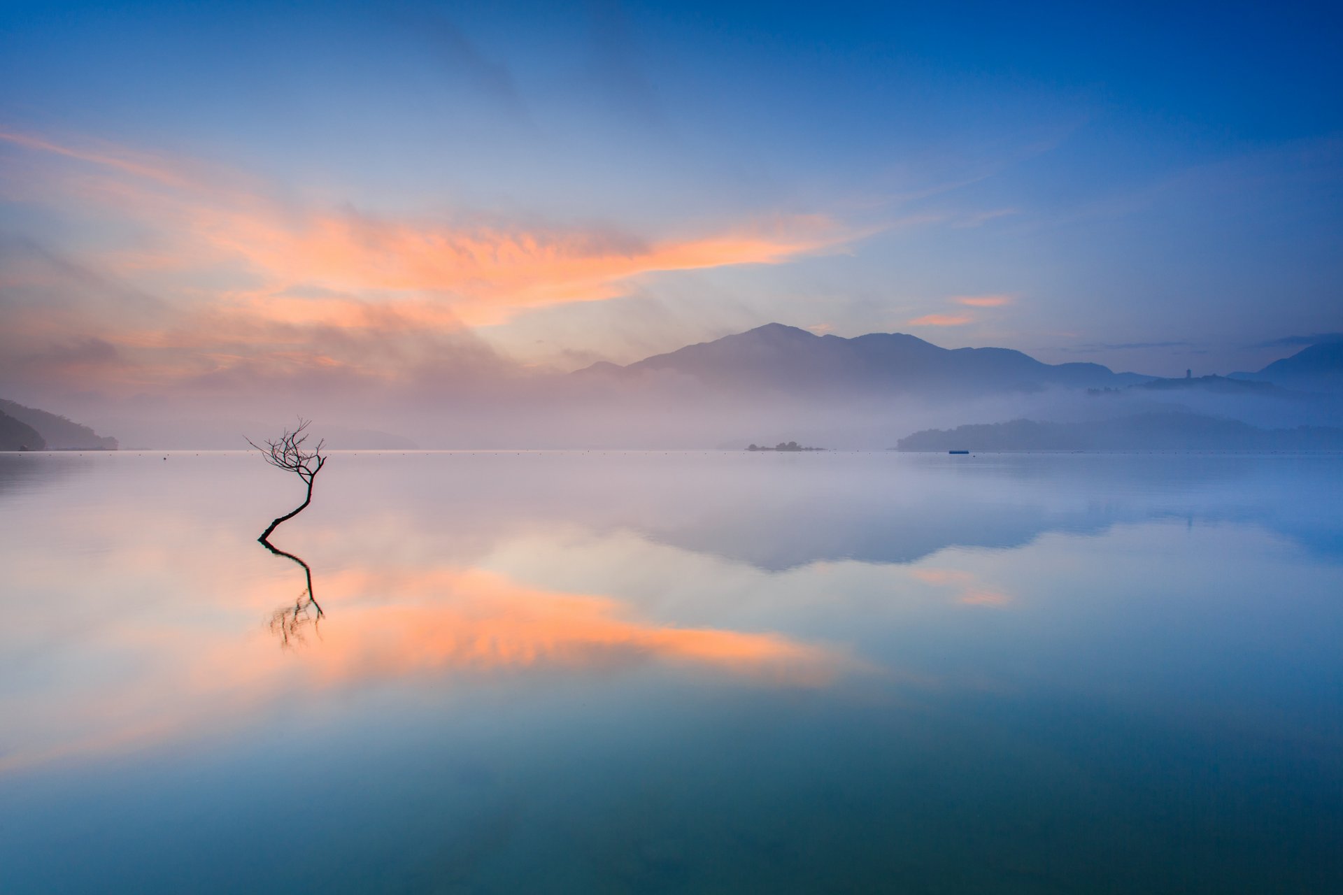 matin montagnes lac vapeur brouillard arbre