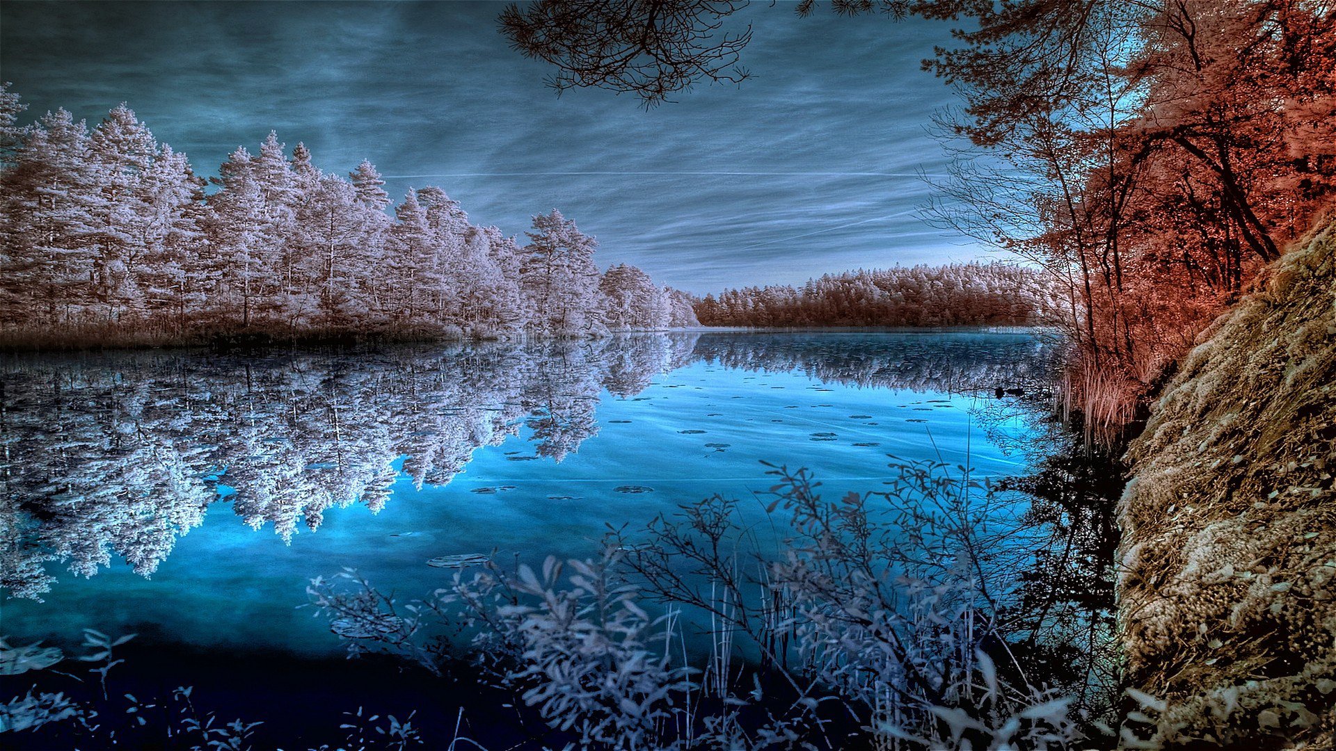 lago stagno foresta alberi riva superficie superficie riflessione specchio cielo nuvole