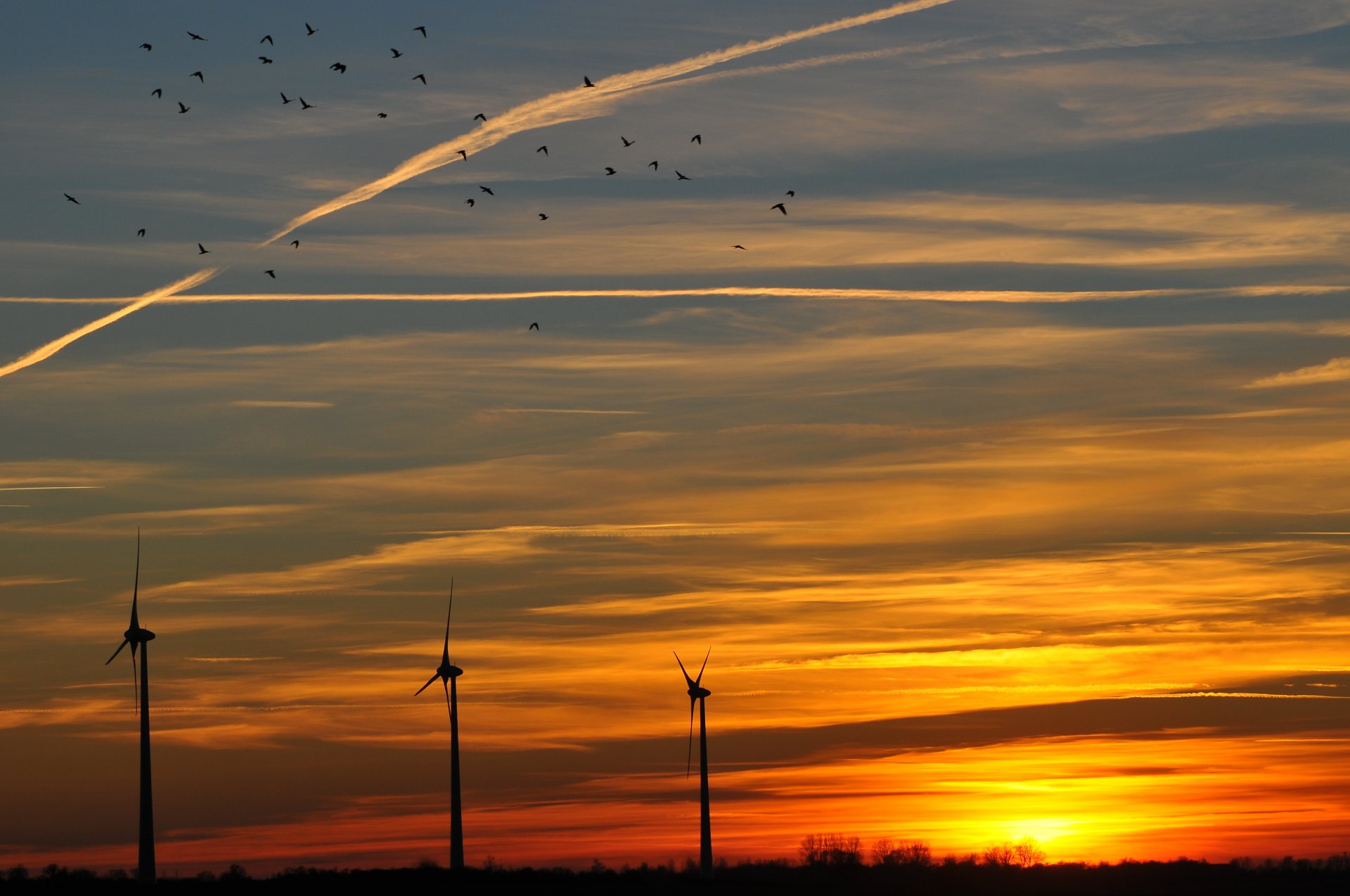 night orange sunset sun wind turbines sky clouds bird