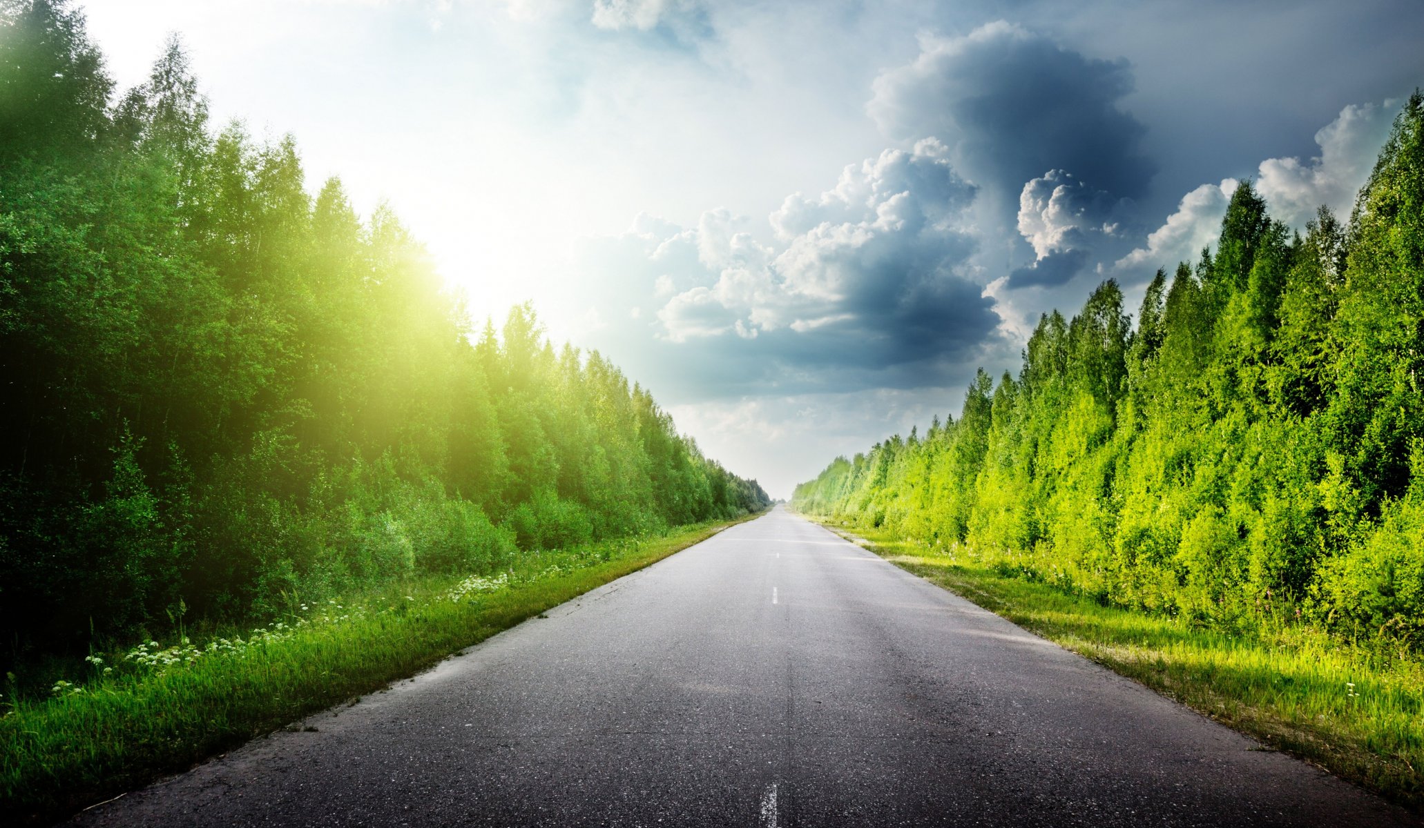 natur straße asphalt himmel wolken wolken wald bäume gras