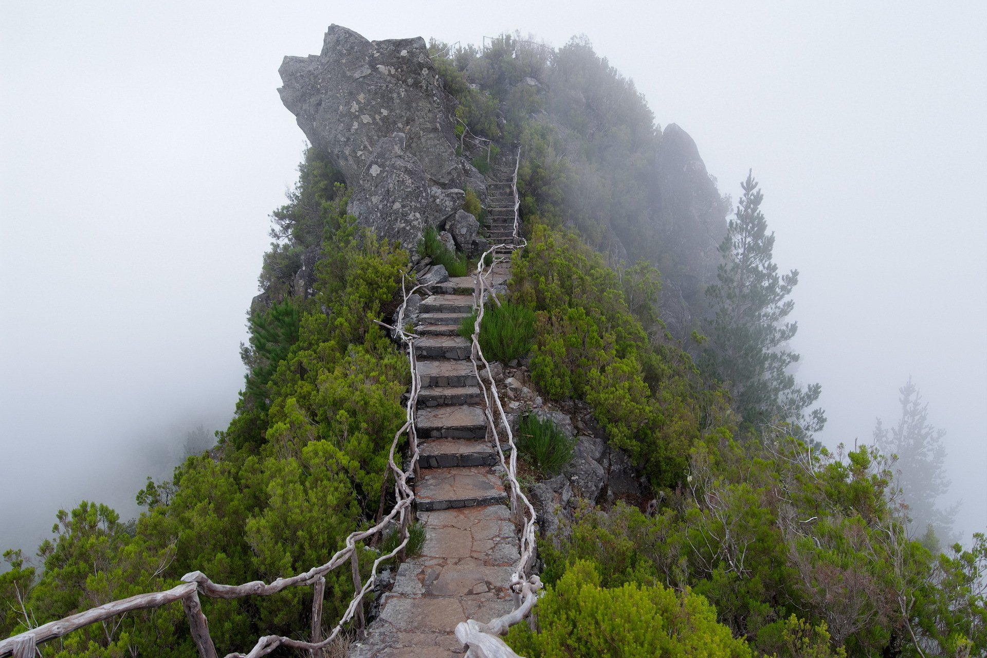 montaña niebla escalera escalones