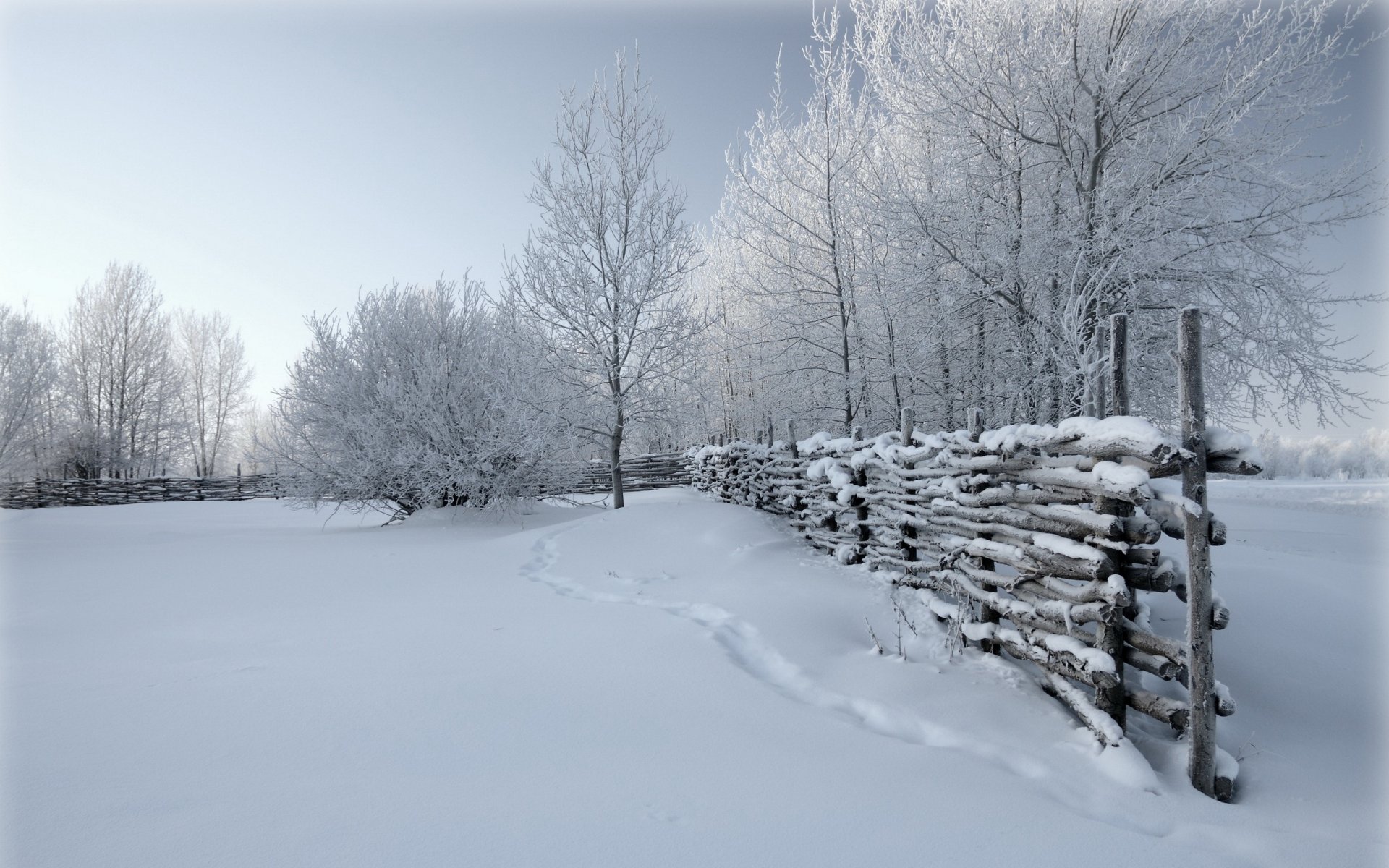 winter zaun schnee natur