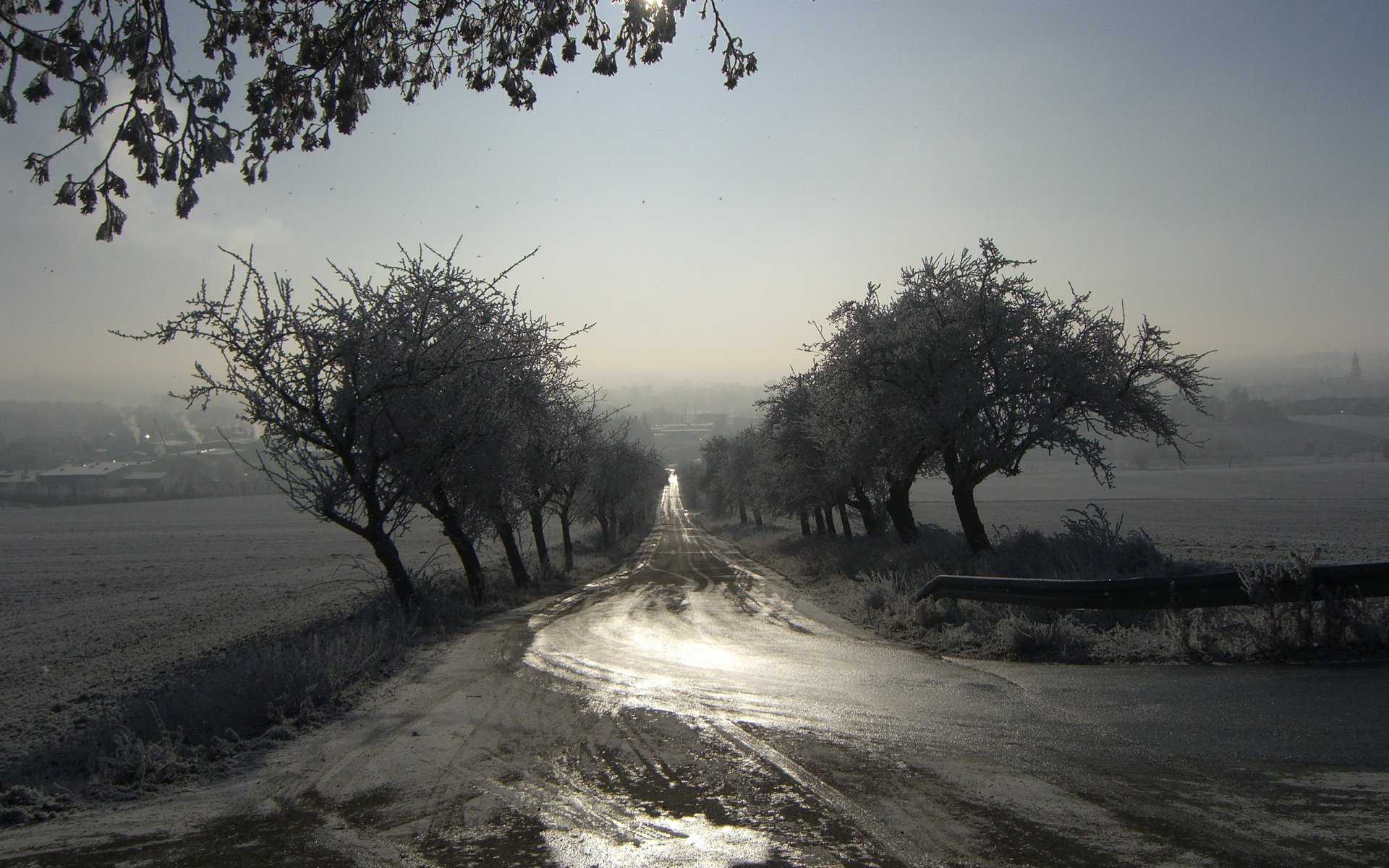 matin brouillard route paysage