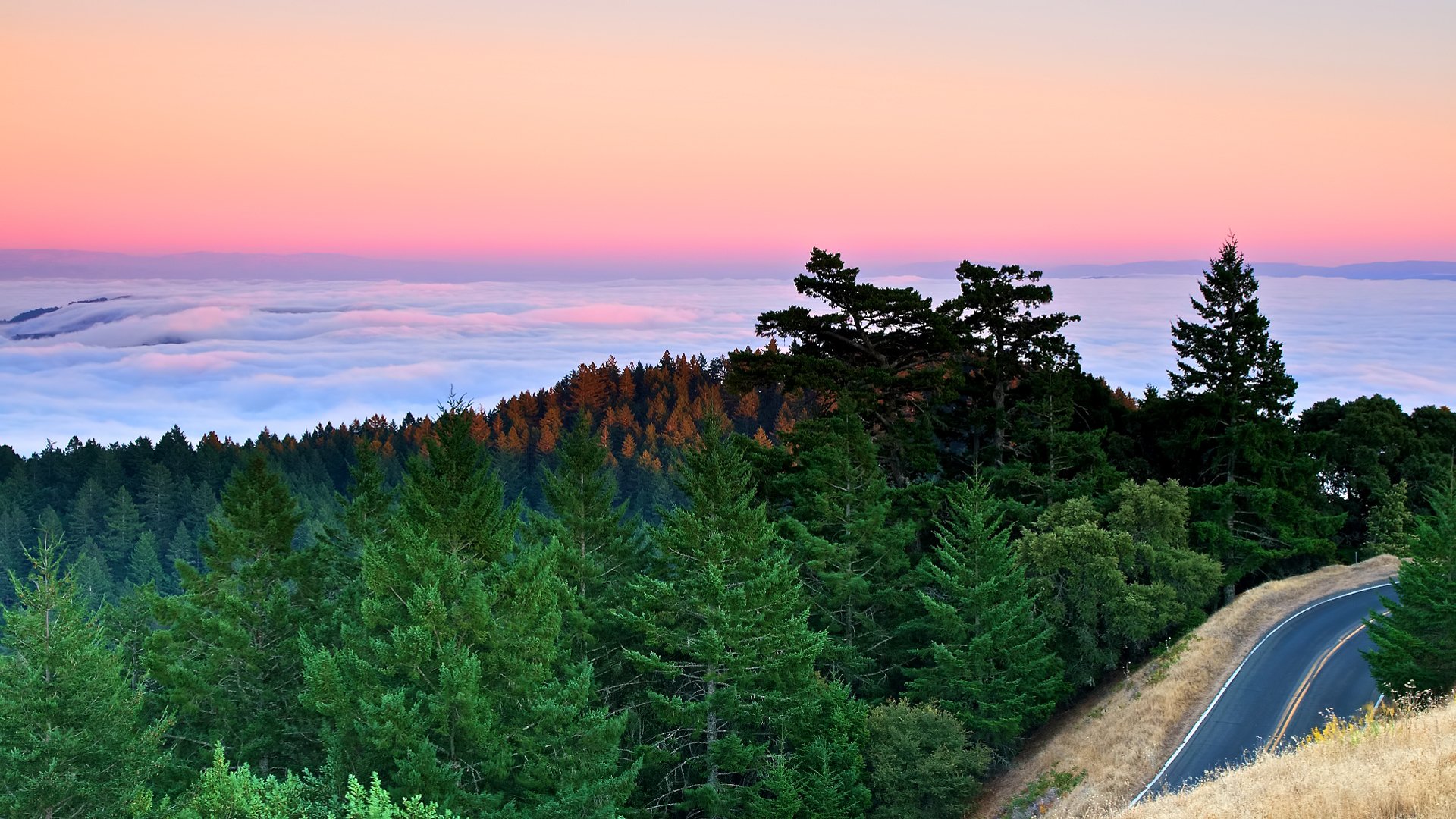 puesta del sol montañas carretera abeto pino bosque bahía pacífico océano nubes niebla california