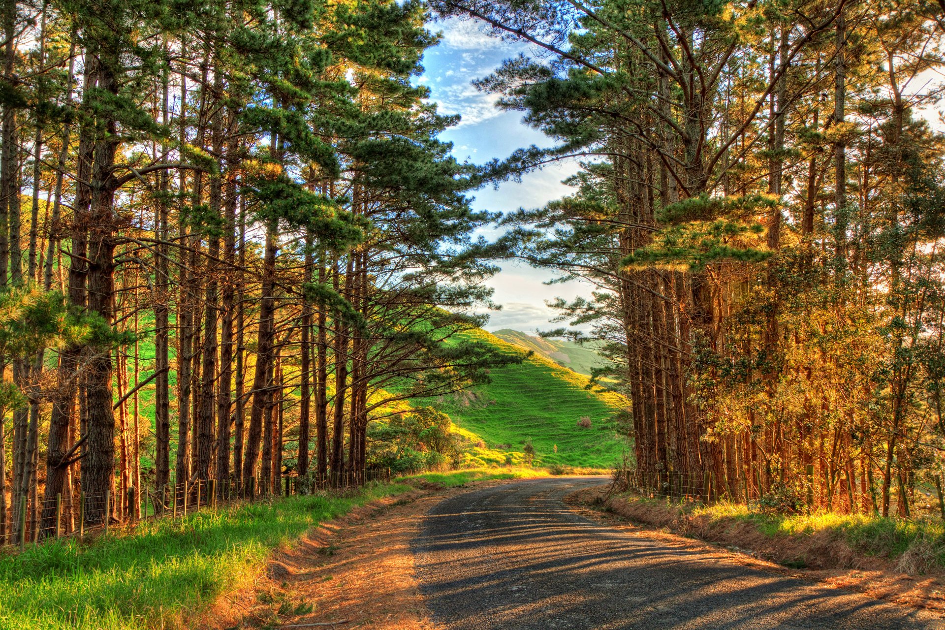 natur hdr baum bäume straße zu fuß ansicht landschaft farben bunt himmel wolken berg gras sonnenuntergang cool schön weg zu fuß ansicht landschaft blumen berge