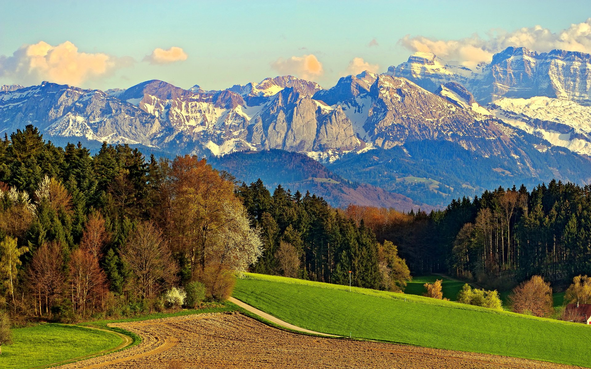 montagne foresta alberi prato campo nuvole cielo neve rocce strada