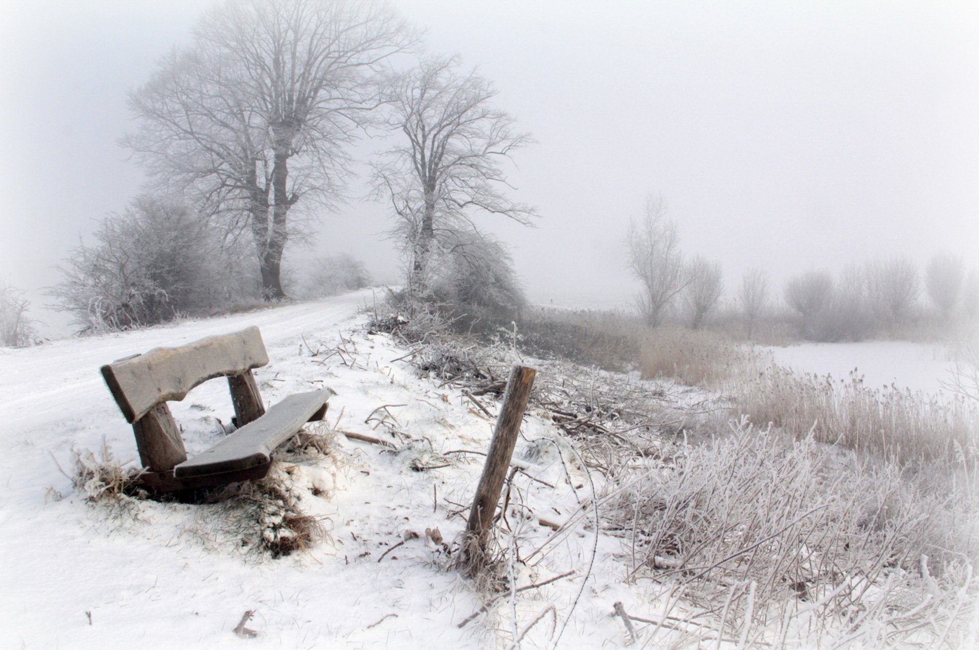 winter schnee nebel bank