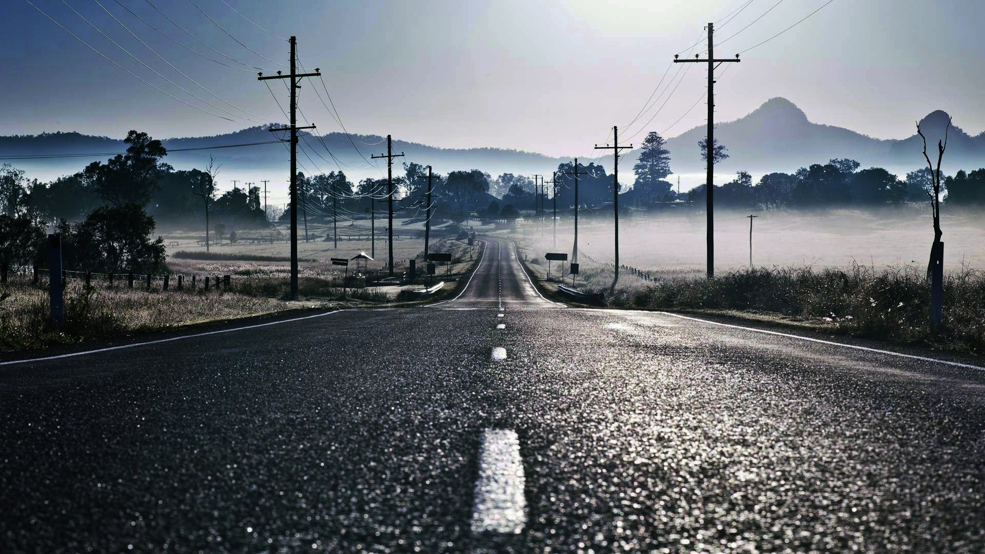 road counting fog pillars wire