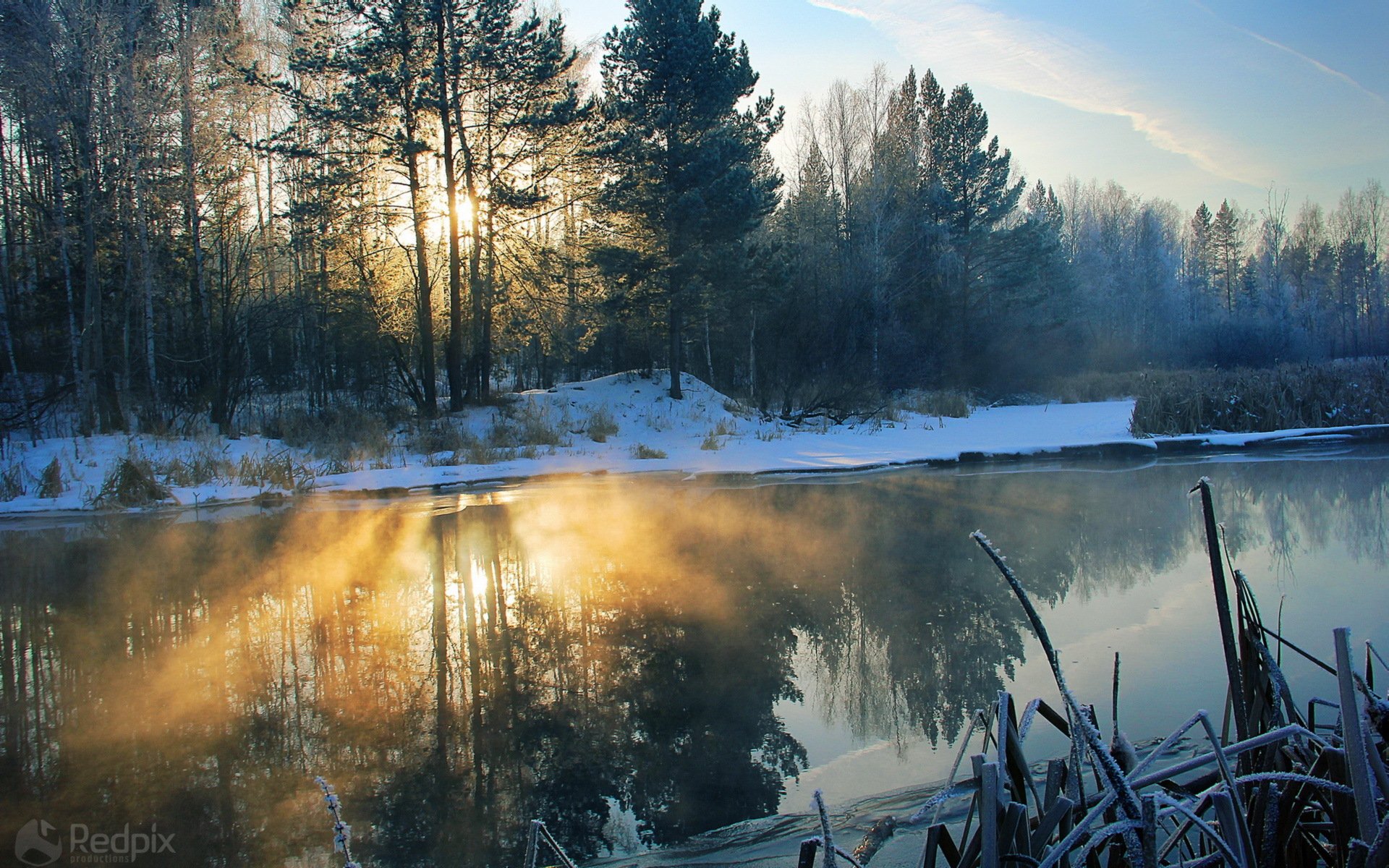 утро река снег свет пейзаж природа деревья