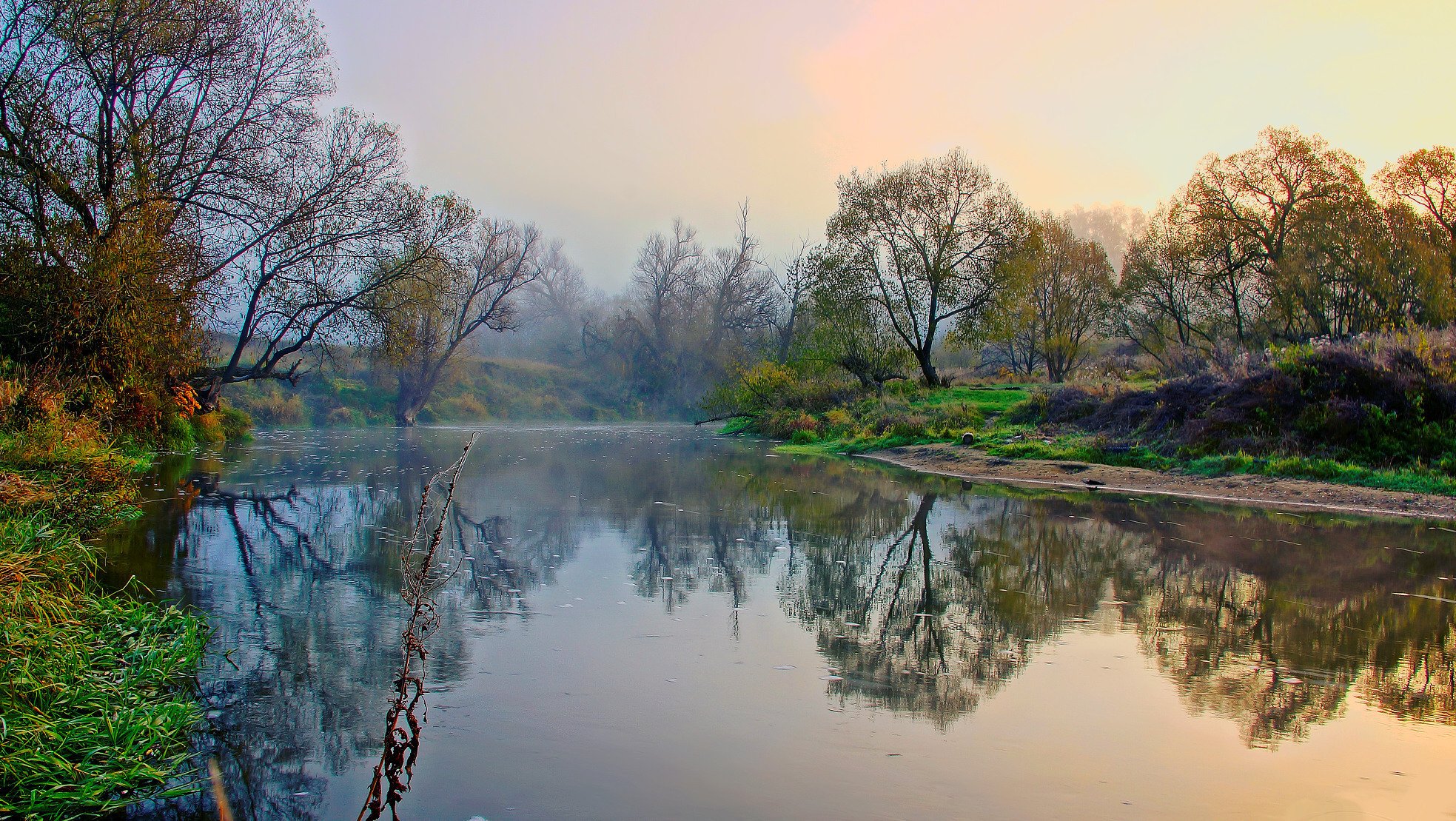 rivière automne arbres rivage brouillard