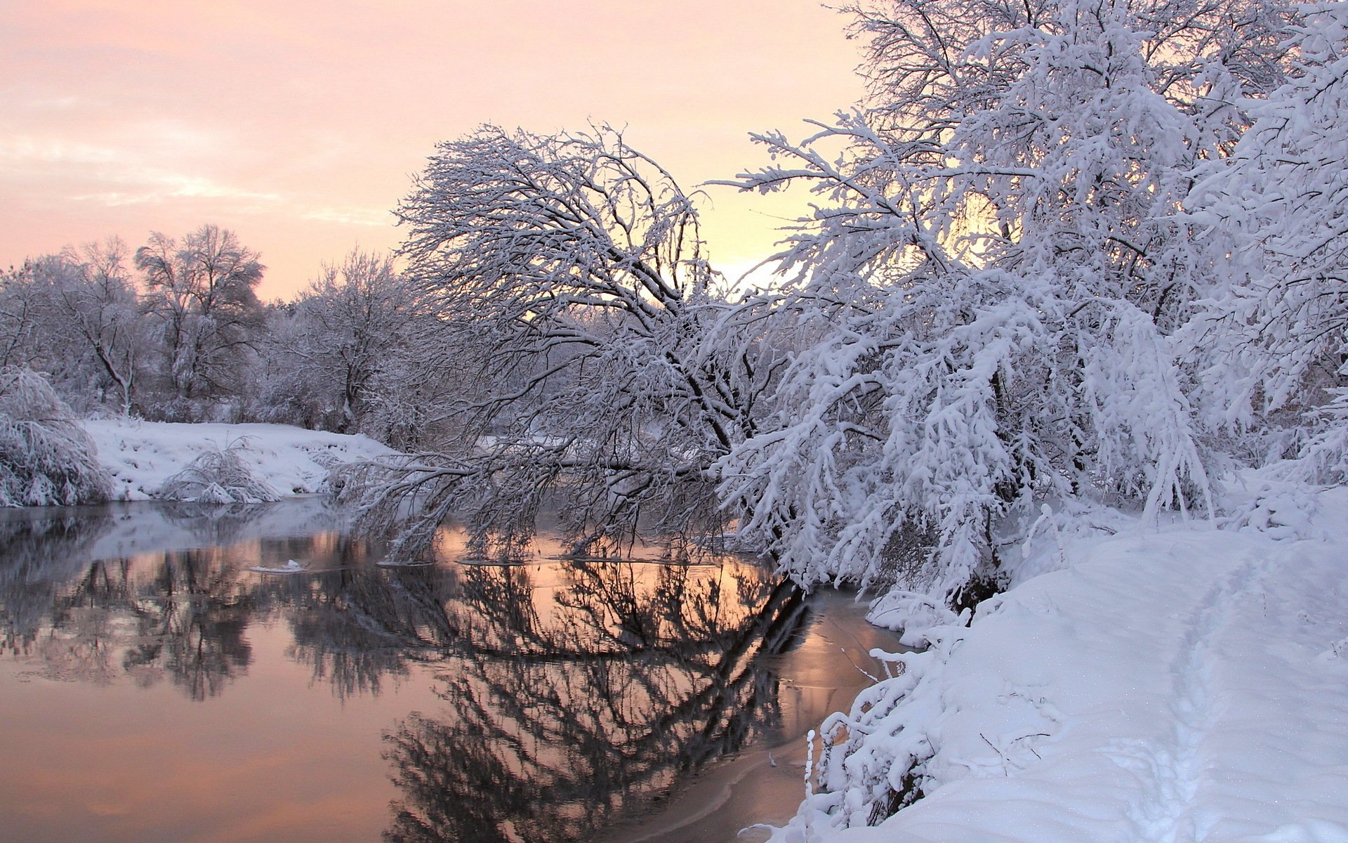 invierno río árboles nieve