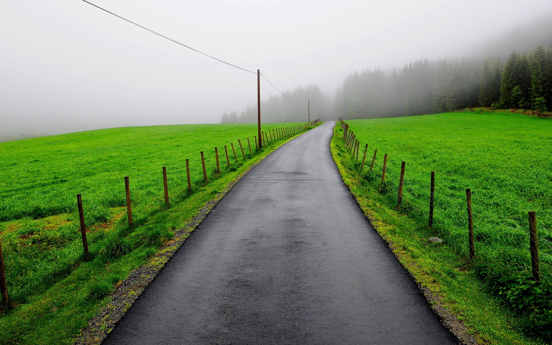 road fence the field fog