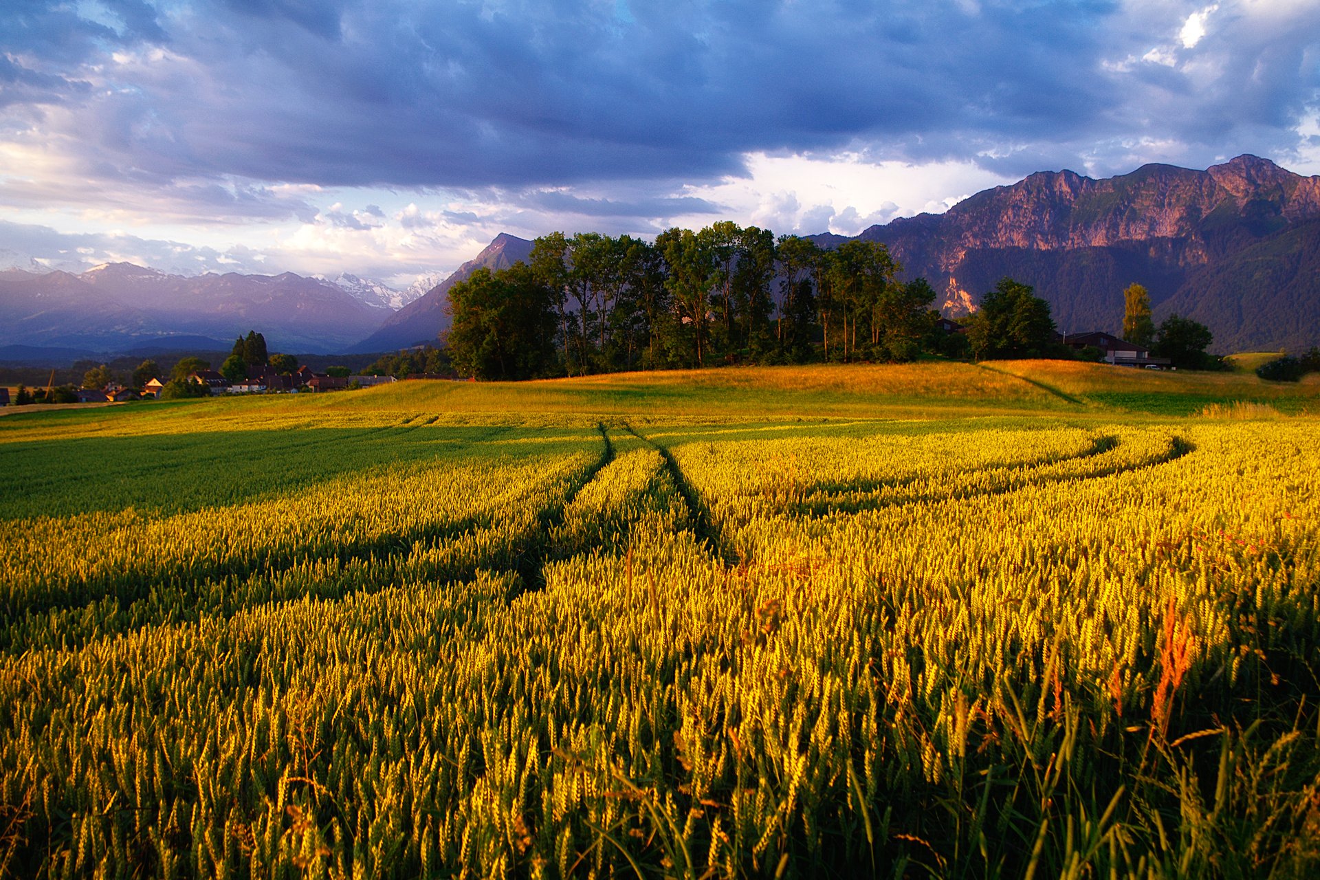 mountain alps the field sky