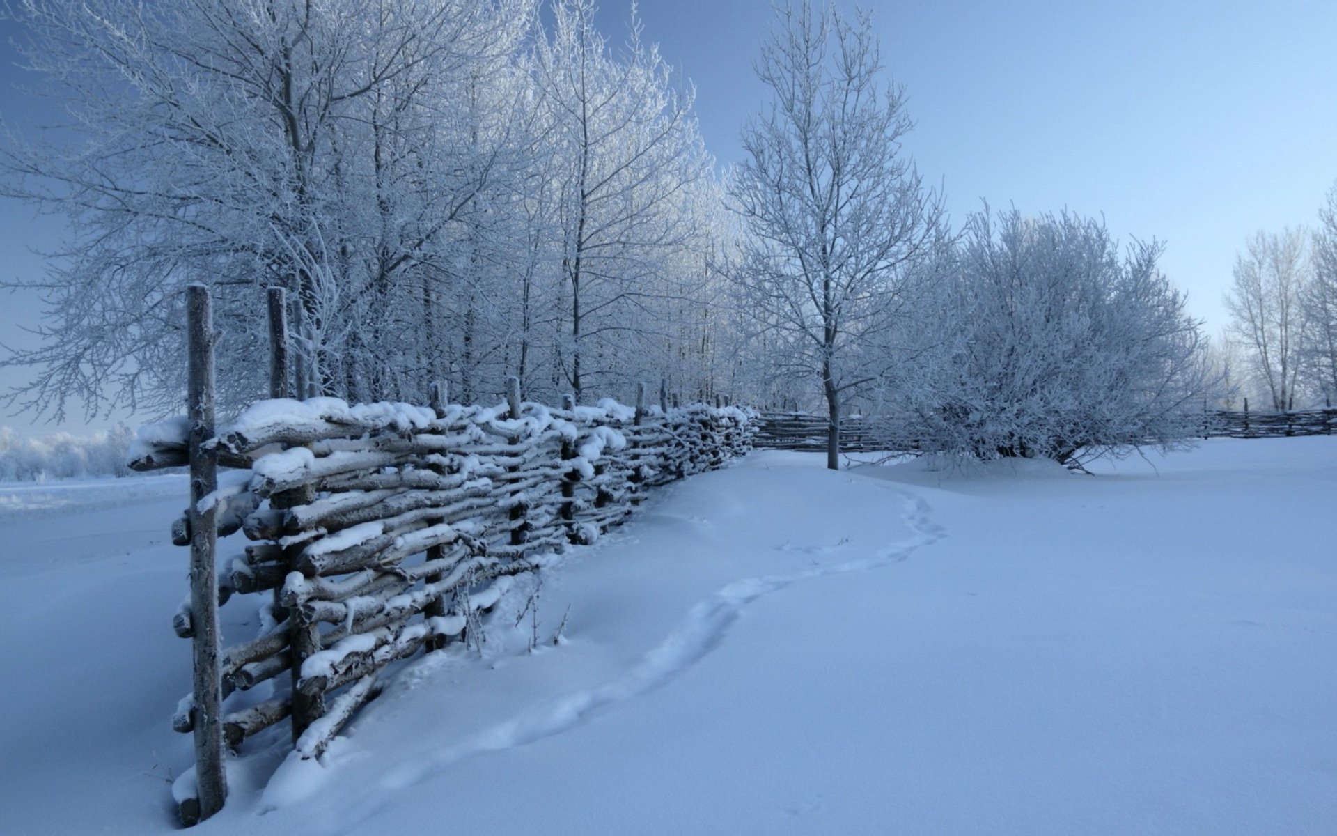 inverno neve recinzione natura