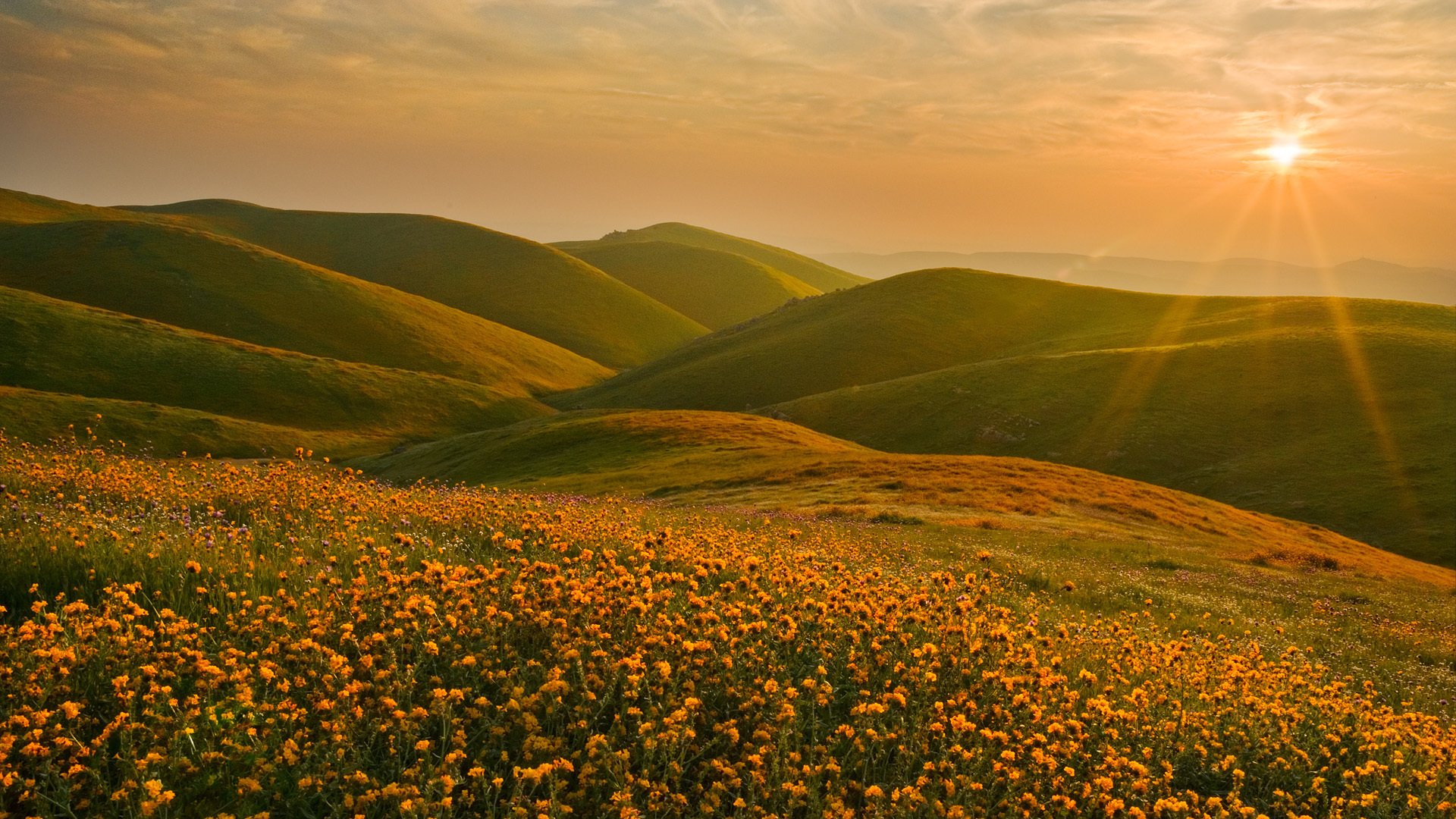 sierra nevada kalifornia krajobraz wzgórza kwiaty słońce zachód słońca