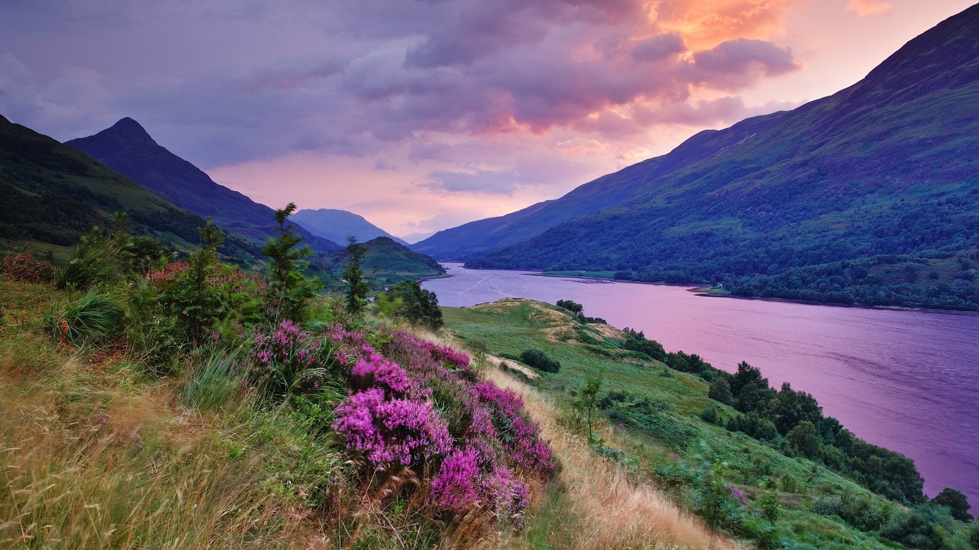 ummer sunset clouds clouds grass flowers river plains colors colors saturation