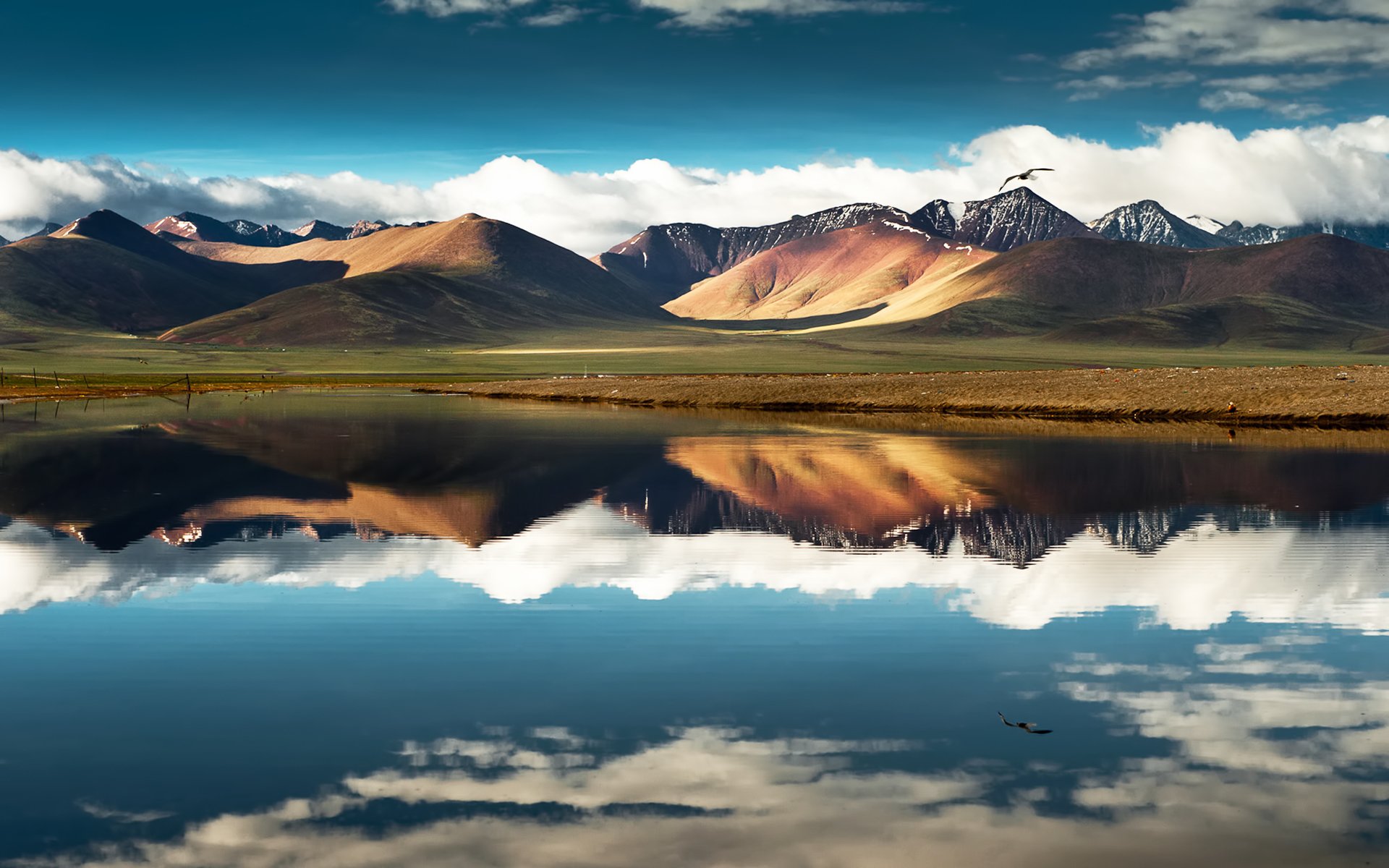 cina tibet montagna lago cielo nuvole riflessione uccello volo