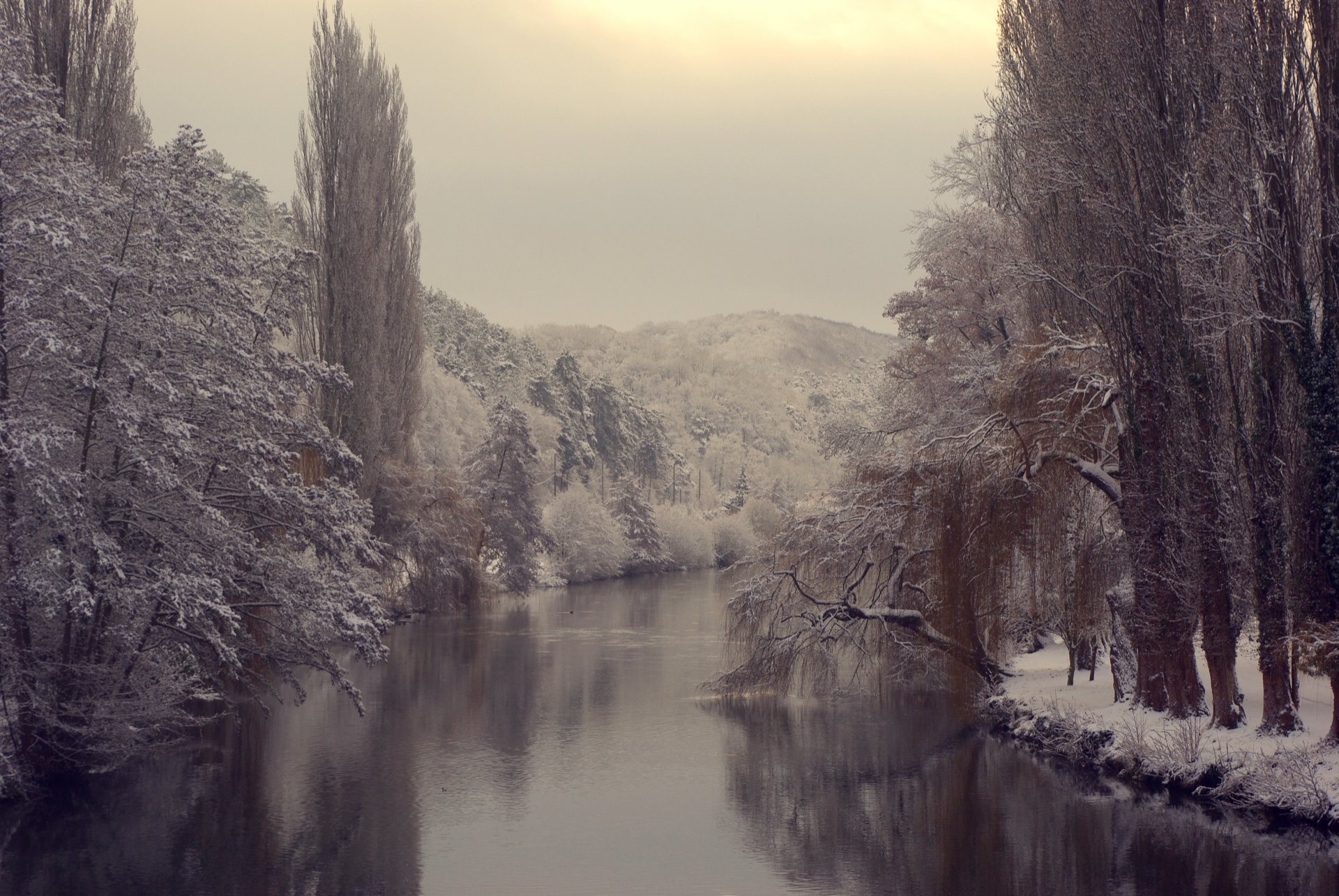 invierno río agua cuerpo de agua árboles bosque ramas nieve hielo frío naturaleza