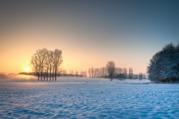 Día soleado en invierno puesta de Sol contra el cielo y la nieve