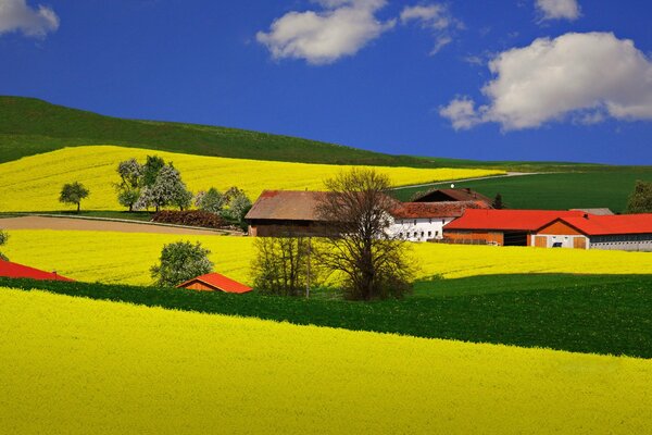 A bright farm on a green plateau