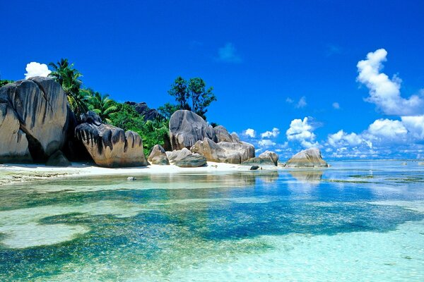 Hermoso paisaje de Seychelles con palmeras