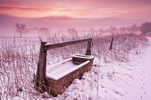 Paysage d Hiver coloré dans le champ