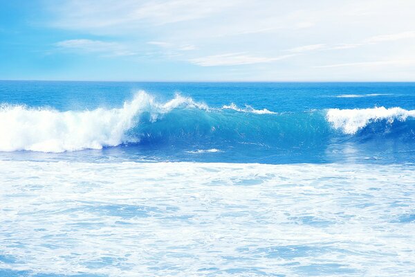 Mer avec une belle vague