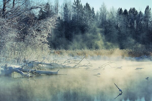 Rivière dans le brouillard d hiver