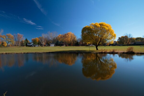 Beautiful autumn landscape by the lake