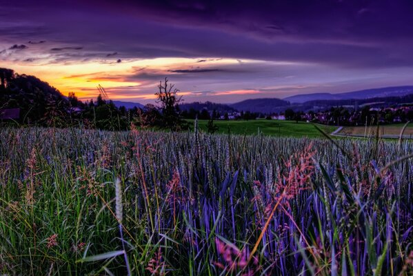 Heavenly sunset on the field