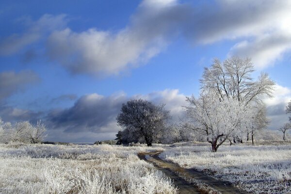 Camino de invierno rústico a las heladas