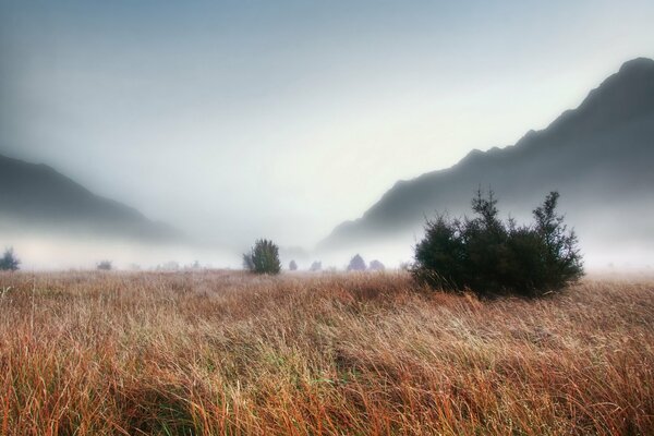 Brouillard épais sur un champ dans les montagnes