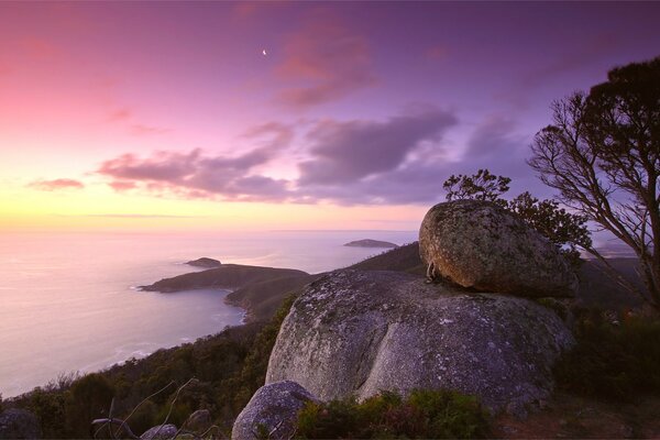 Lilac sunset on the seashore